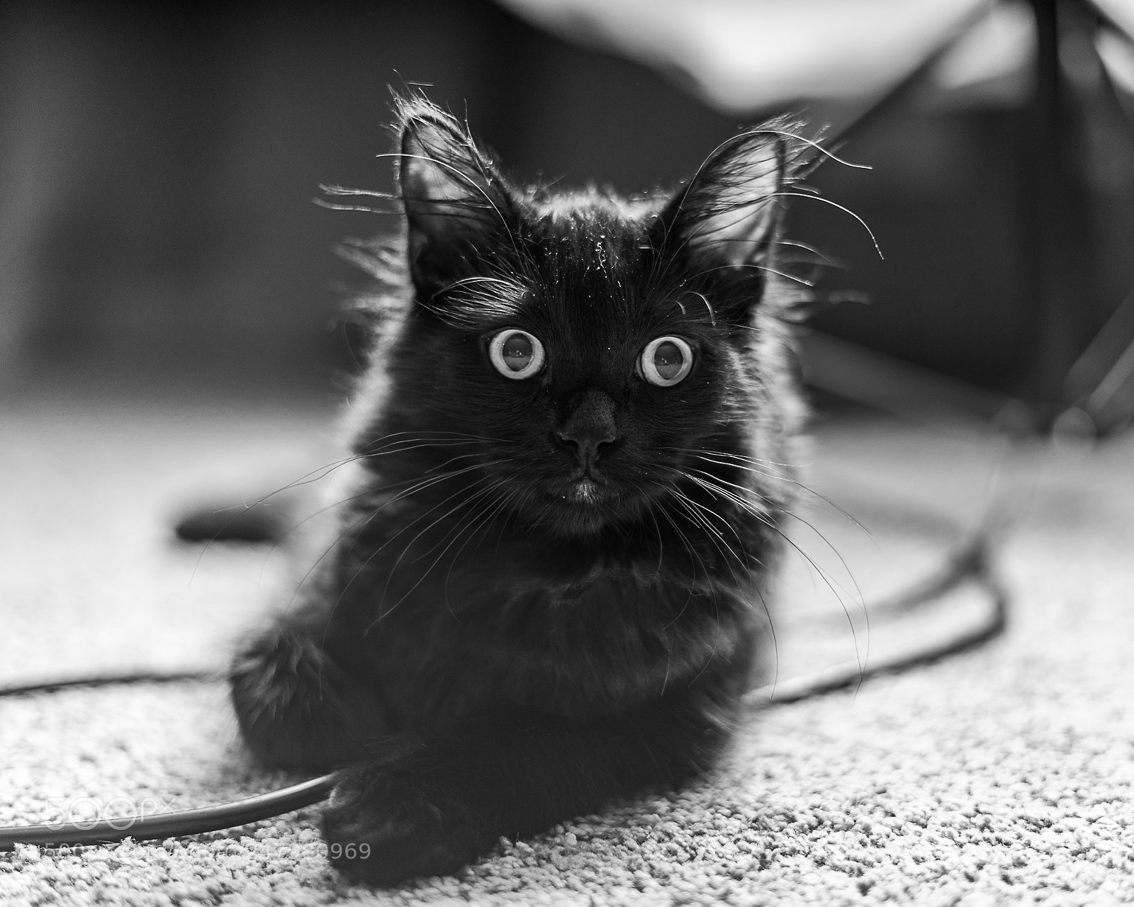 Sony a7 sample photo. Voodoo photography