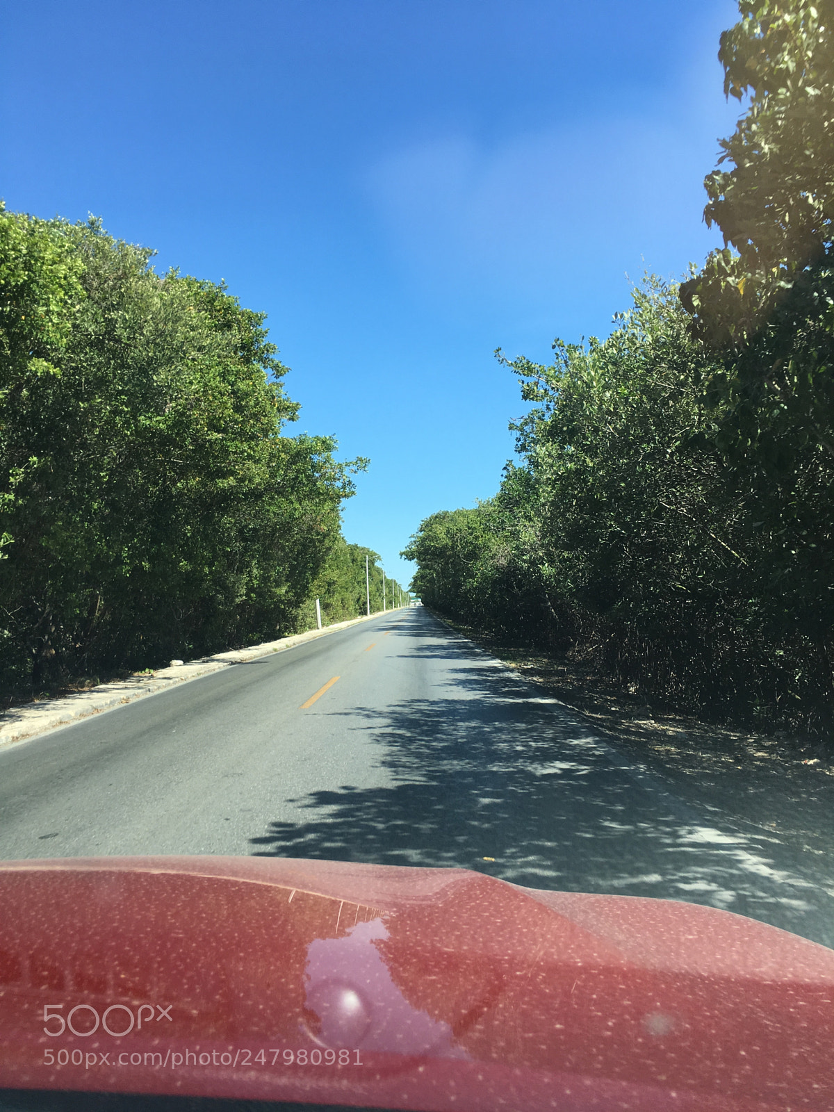 Apple iPhone 6s Plus sample photo. Chelem yucatan road photography