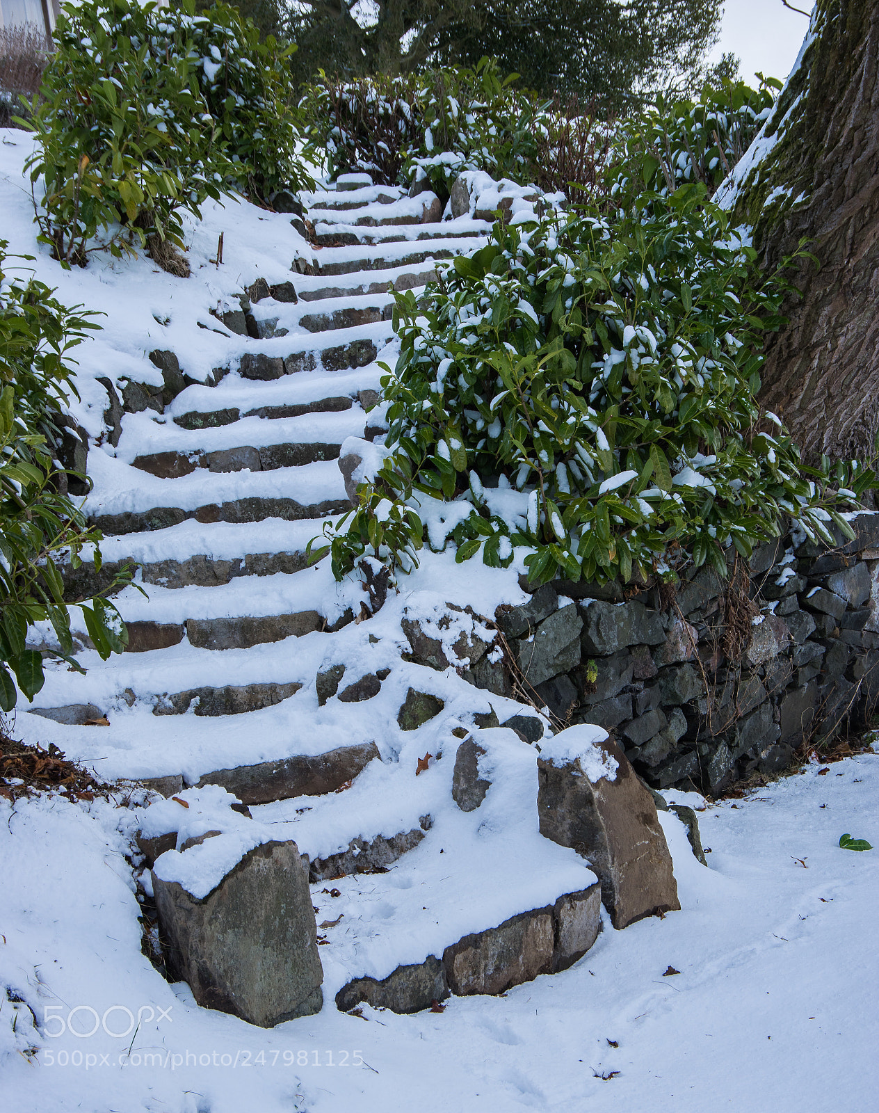 Pentax K-3 sample photo. Steps snow photography