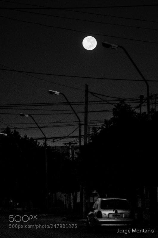 Nikon D90 sample photo. Luna urbana photography