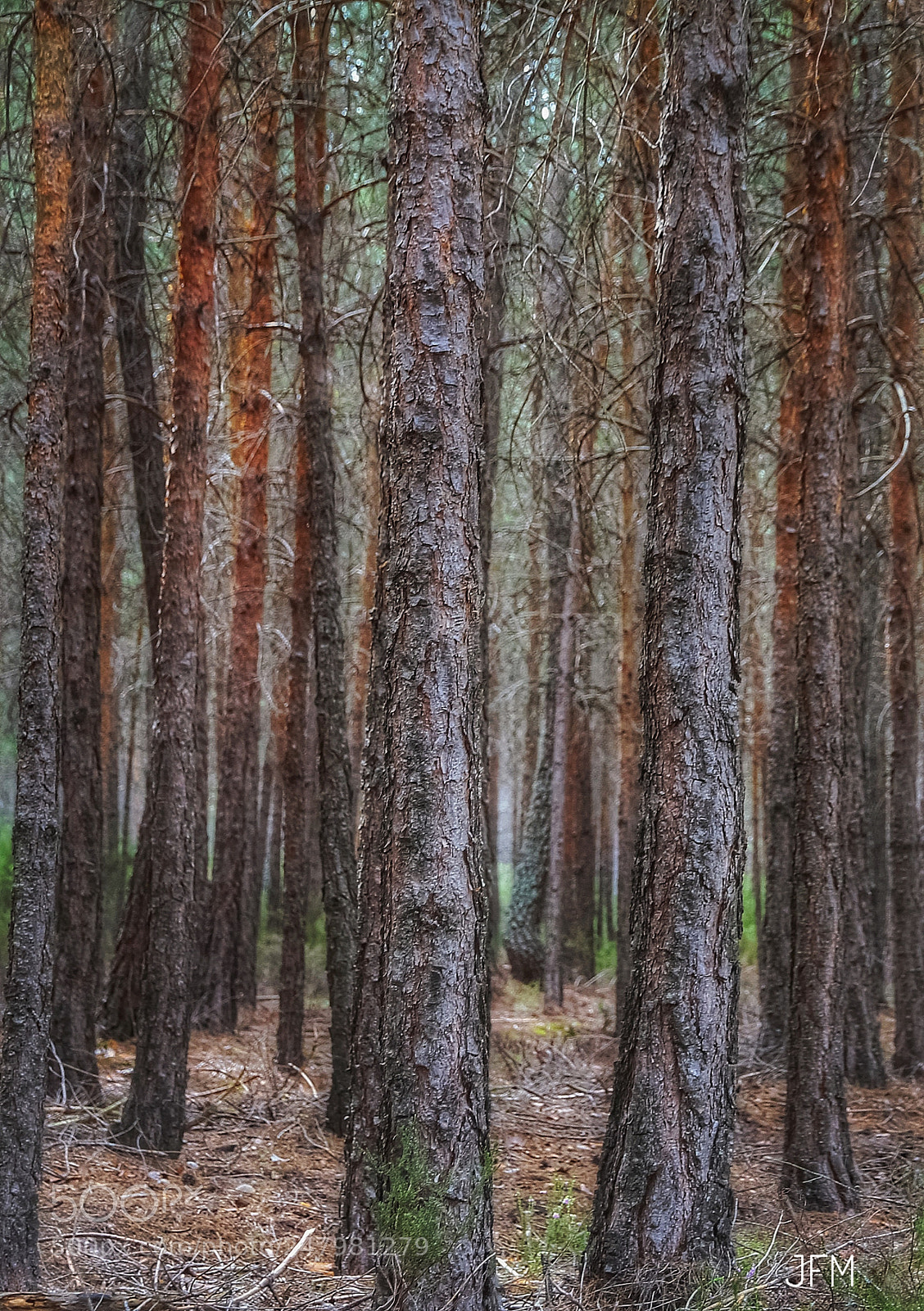 Canon EOS 7D sample photo. Untitled photography