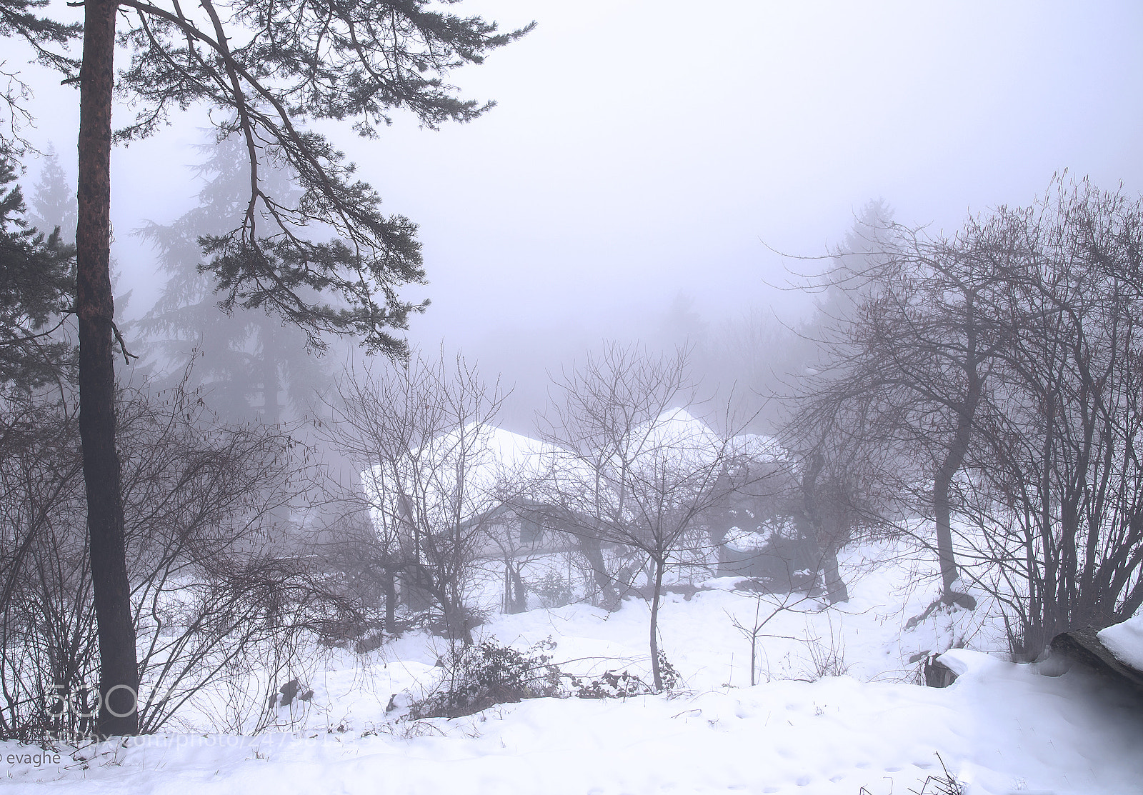 Nikon D610 sample photo. Baiardo neve uno photography