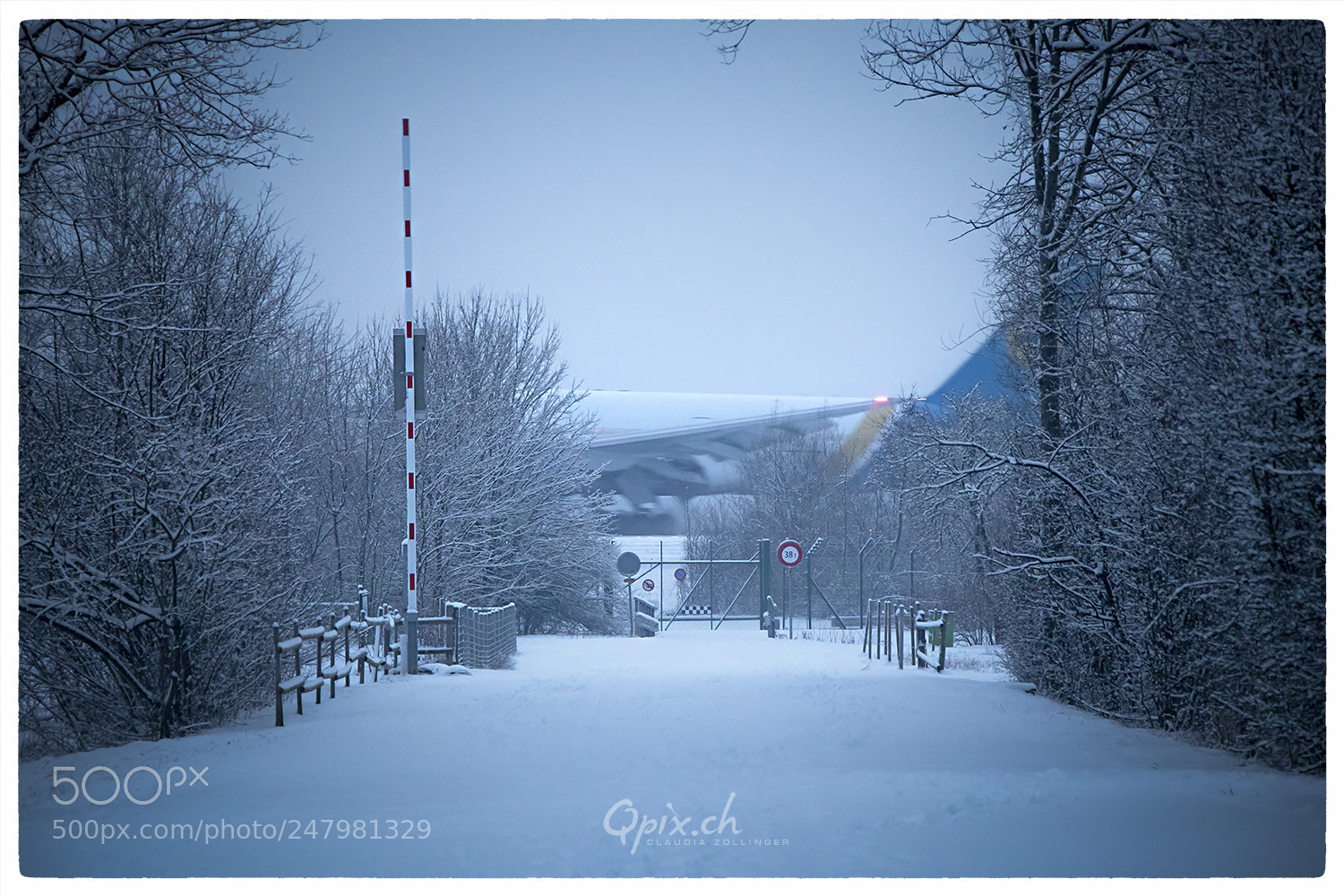 Canon EOS 80D sample photo. Schneelandung photography