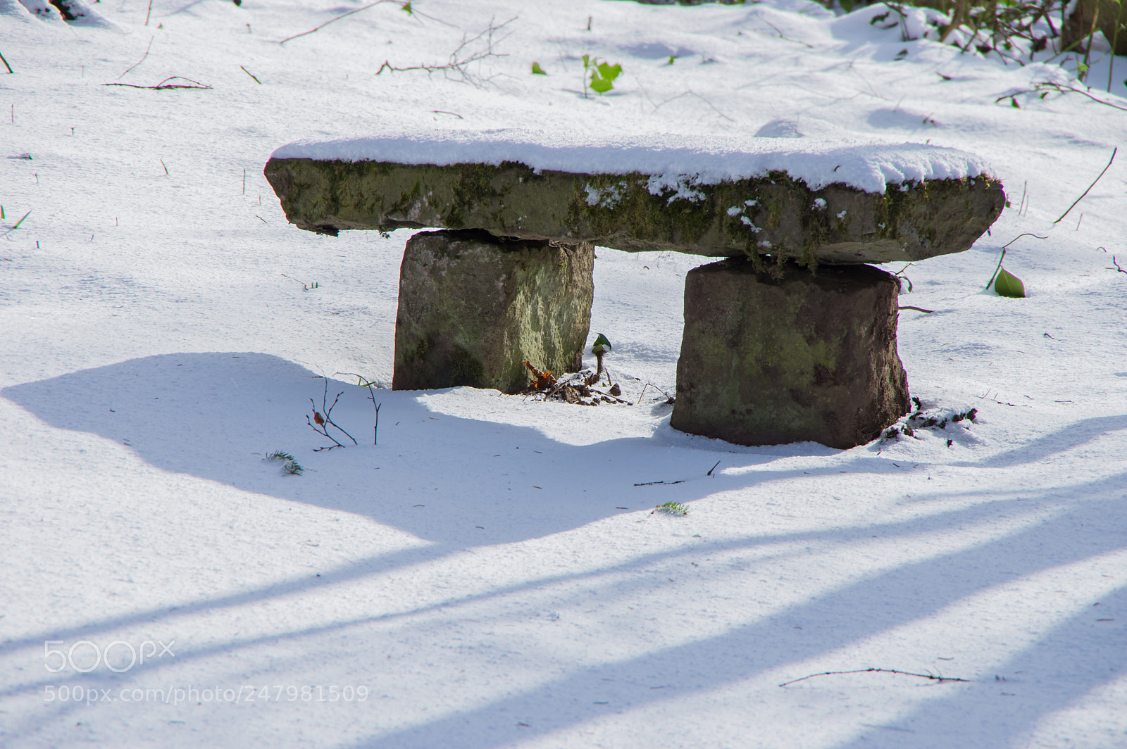 Pentax K-3 sample photo. Garden stool photography