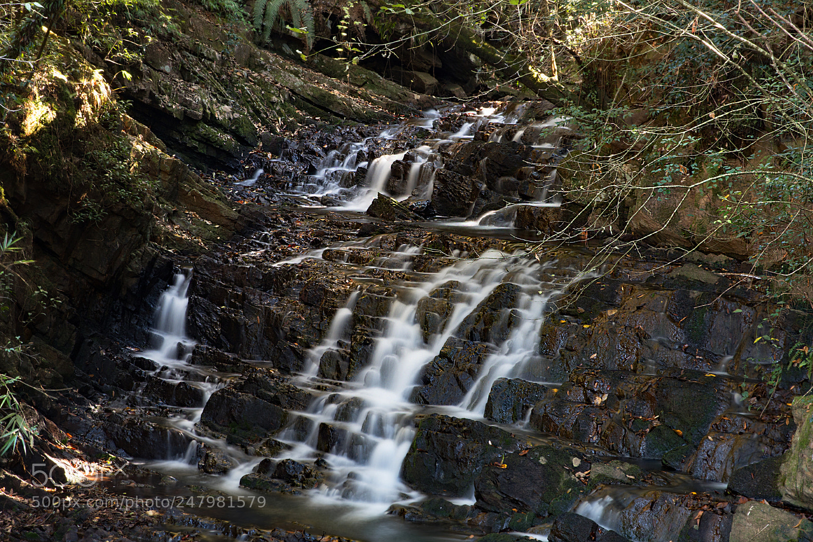 Nikon D500 sample photo. Elephant falls photography