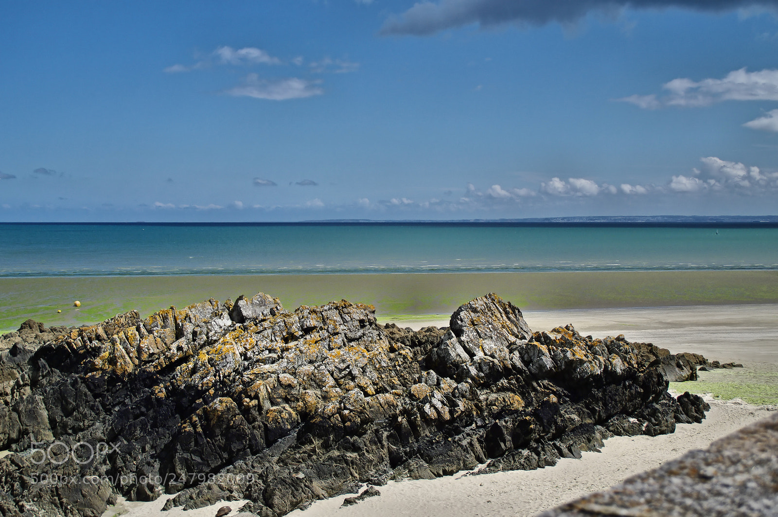 Pentax K20D sample photo. 26556728818.jpg photography