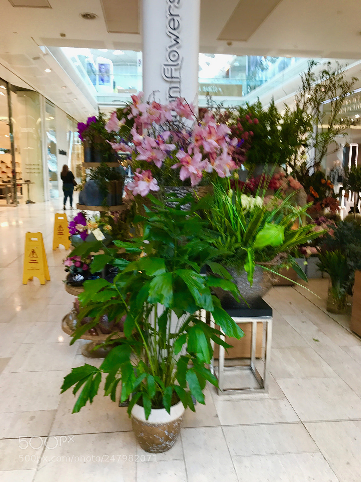 Apple iPhone 7 sample photo. Img photography