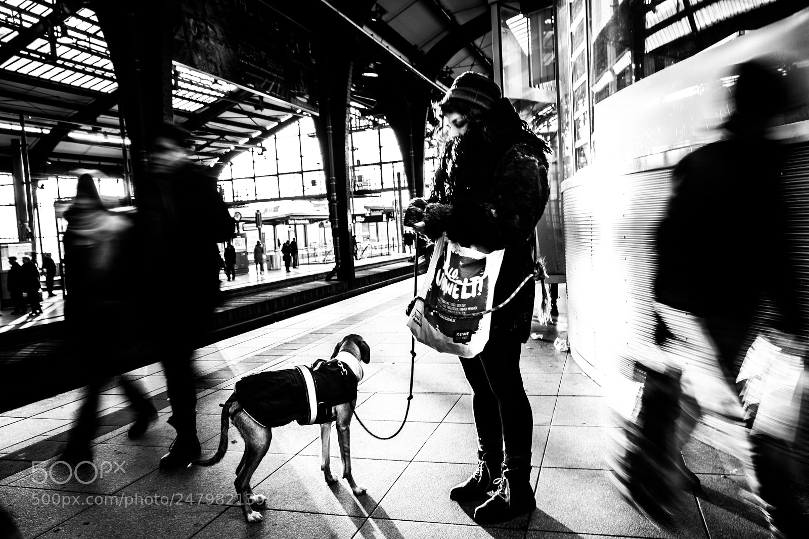 Fujifilm X-T20 sample photo. Mistress' dog photography