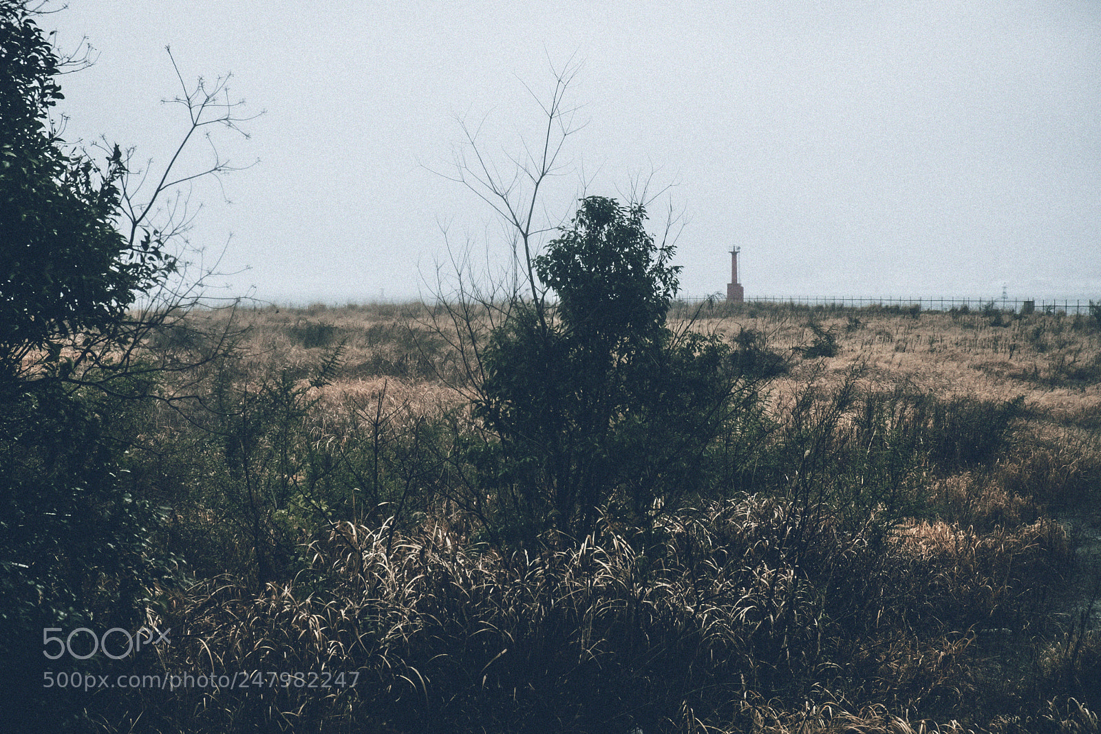 Fujifilm X-T10 sample photo. Untitled photography