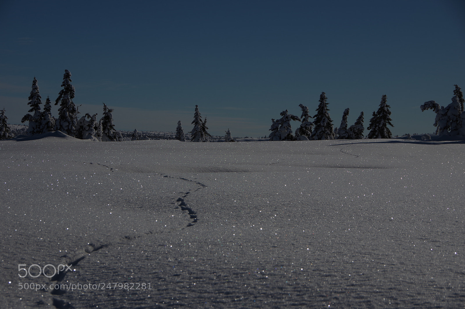 Pentax K-70 sample photo. Diamonds in the snow photography