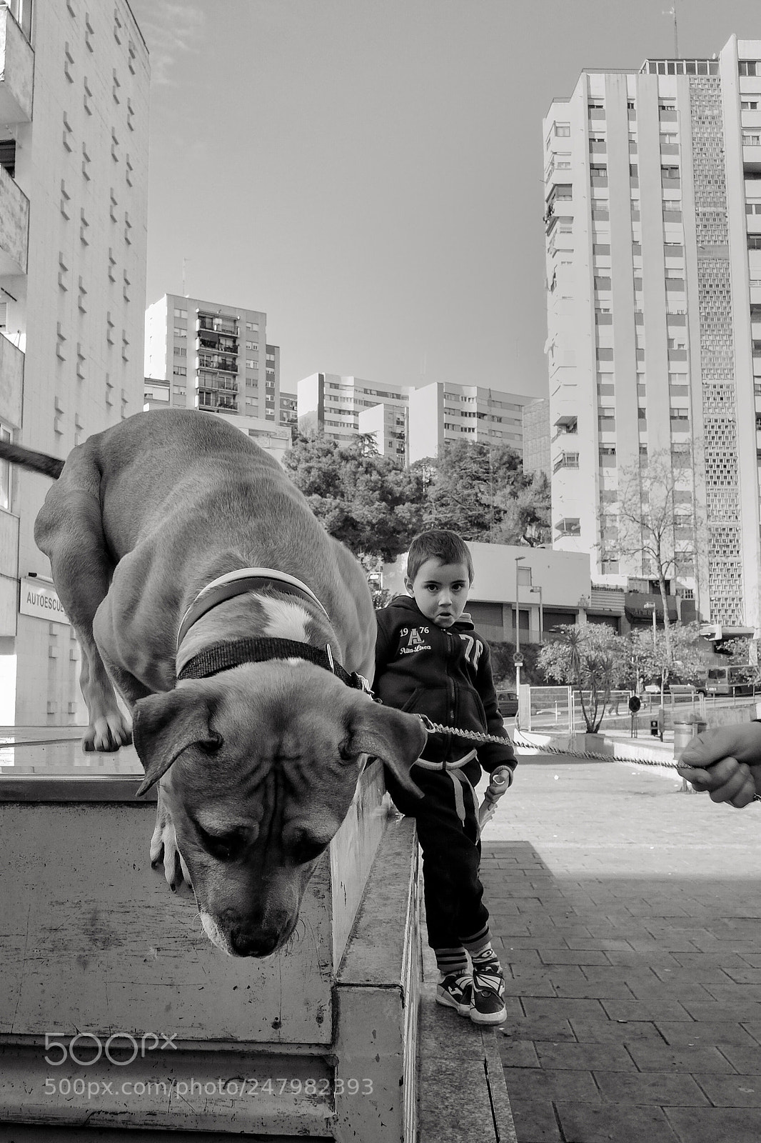 Fujifilm X-T10 sample photo. Untitled photography