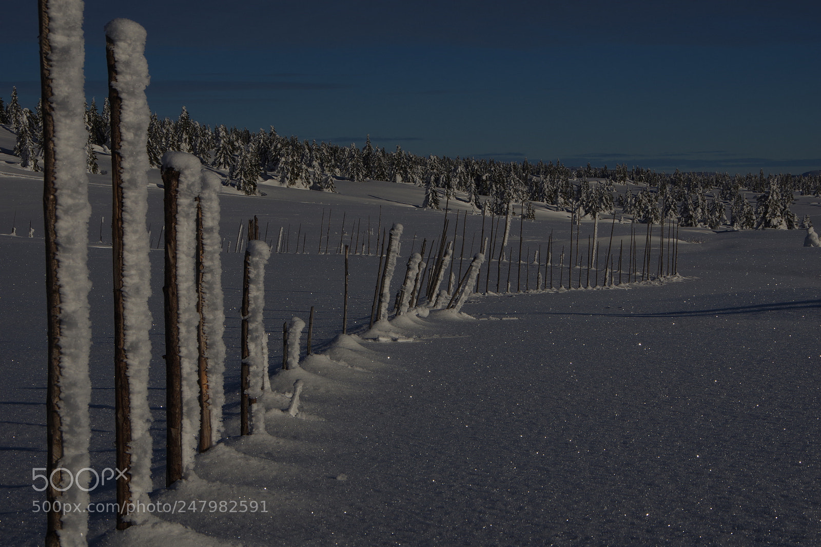 Pentax K-70 sample photo. Vinterferie photography
