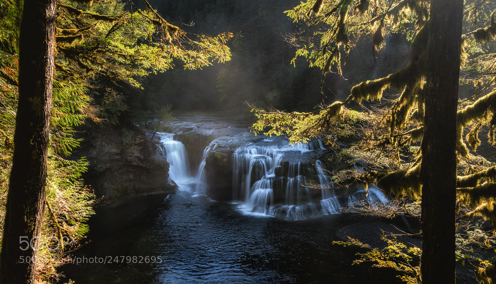 Nikon D850 sample photo. Lower lewis falls, wa photography