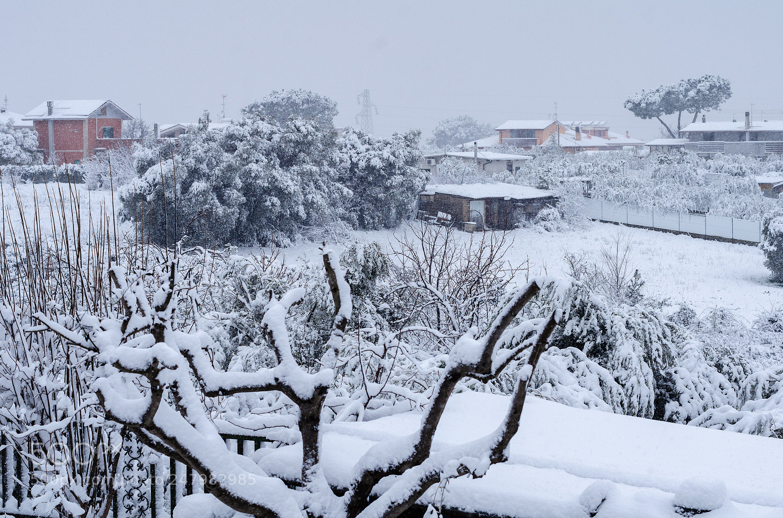 Nikon D5100 sample photo. It's snowing photography