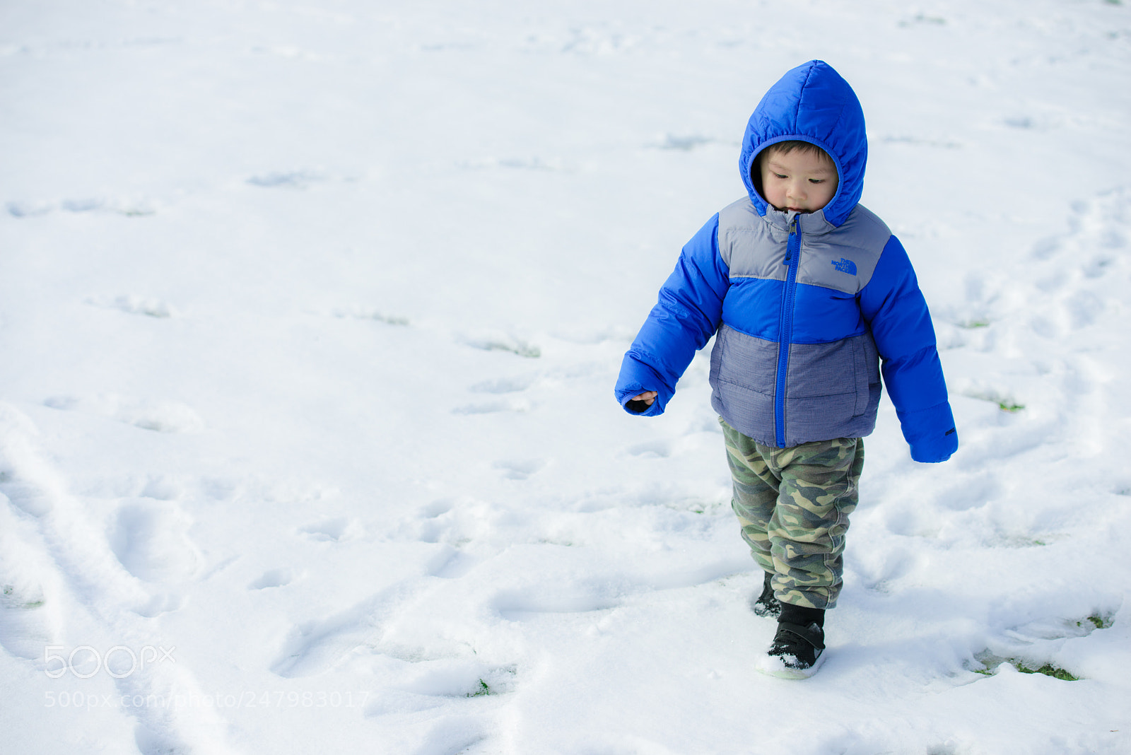 Nikon D800 sample photo. Walking on snow photography