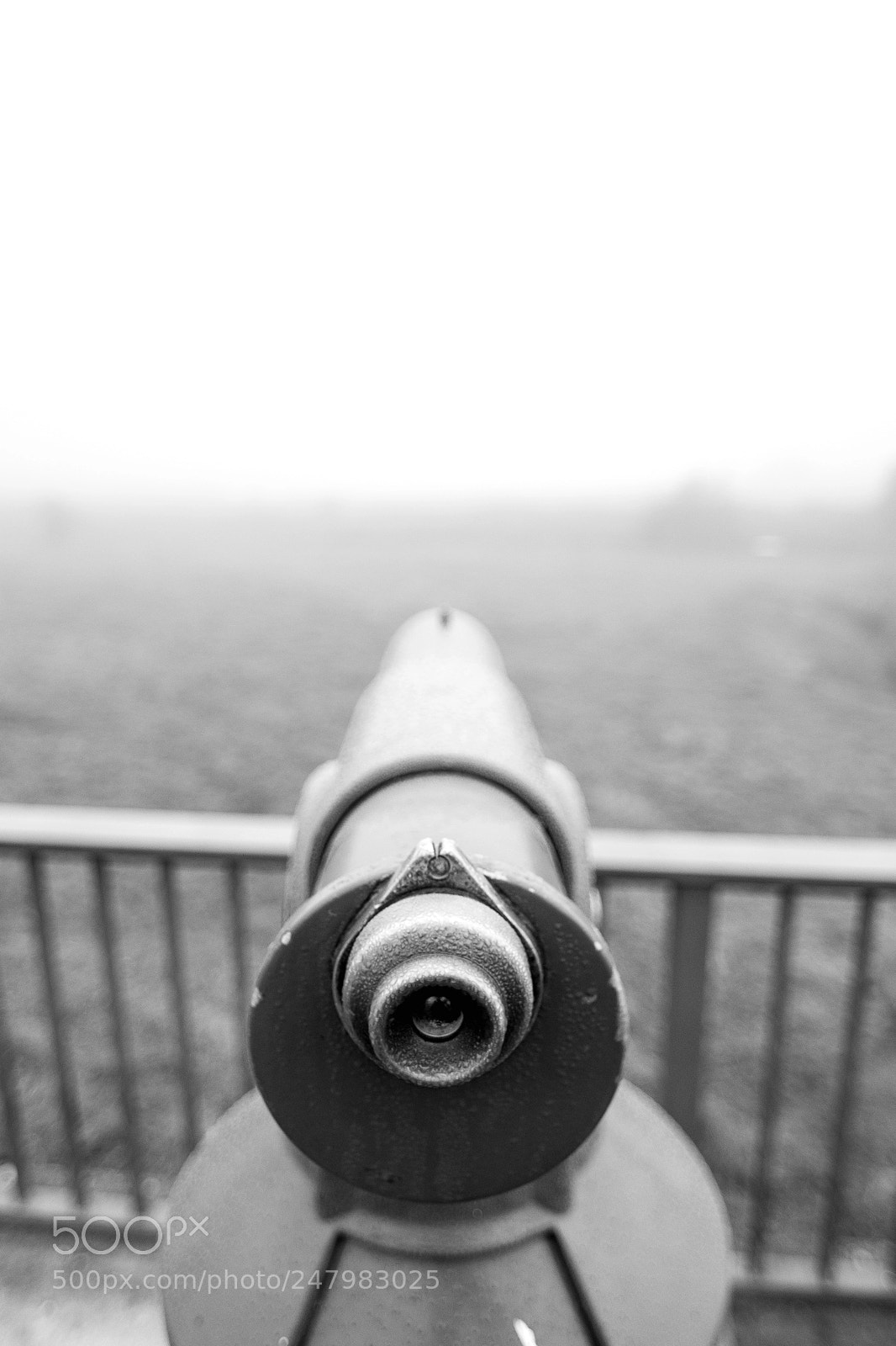 Nikon D500 sample photo. Ferne photography