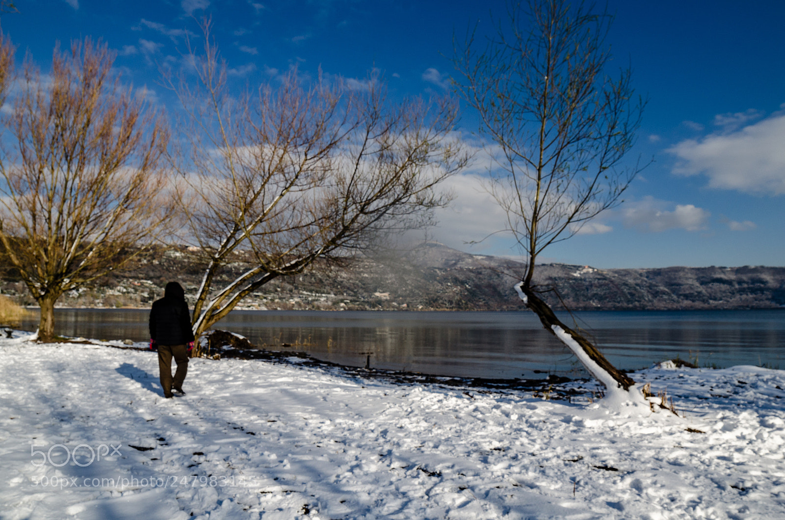 Nikon D5100 sample photo. Untitled photography