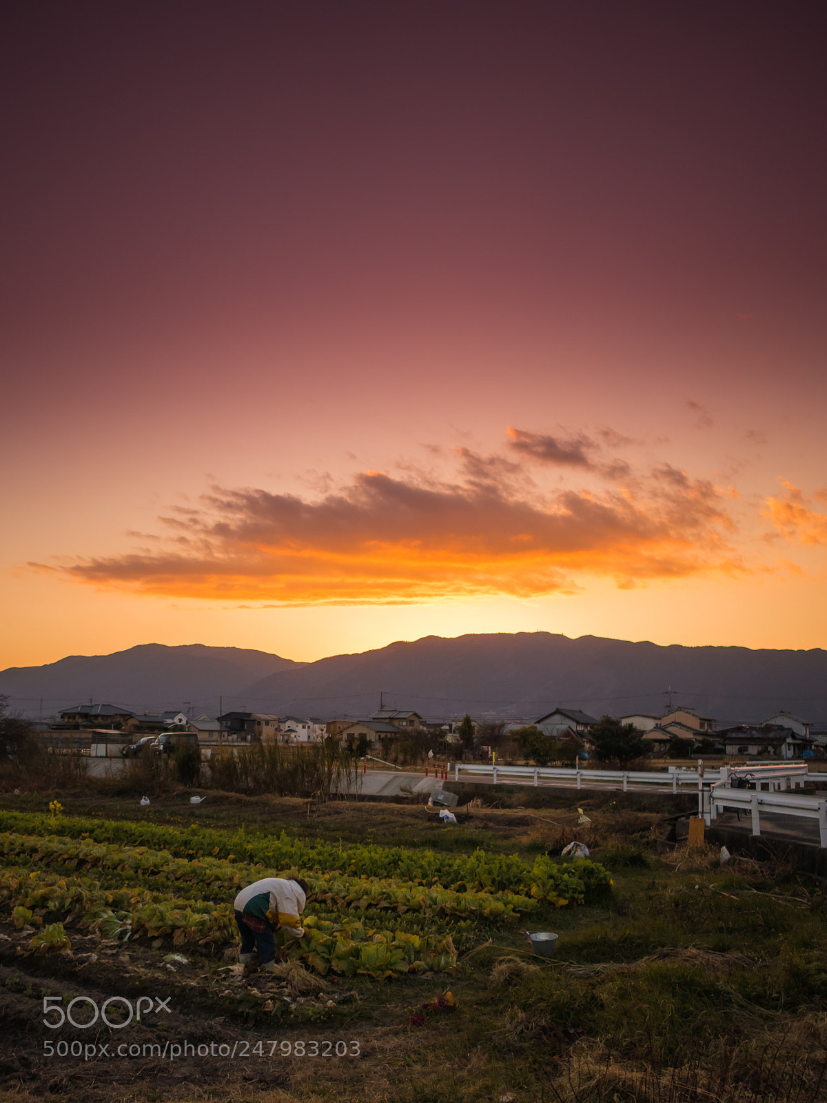 Sony Cyber-shot DSC-RX100 III sample photo. ふるさと　- my home town - photography