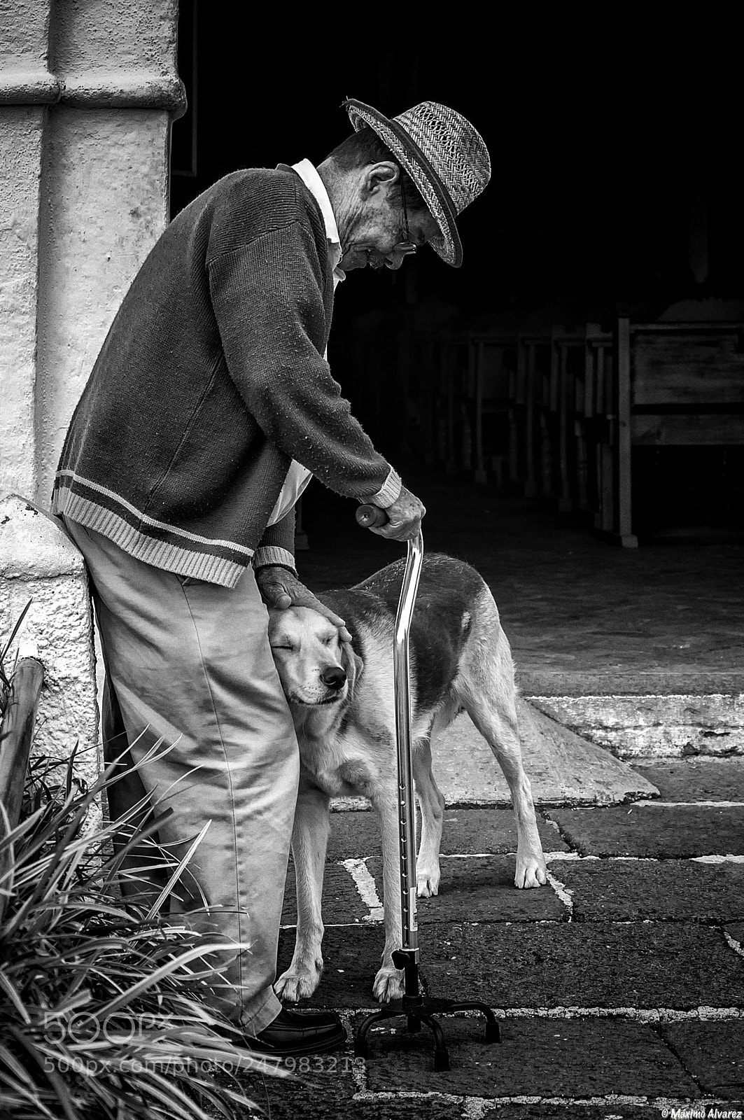 Nikon D5000 sample photo. Unconditional love photography
