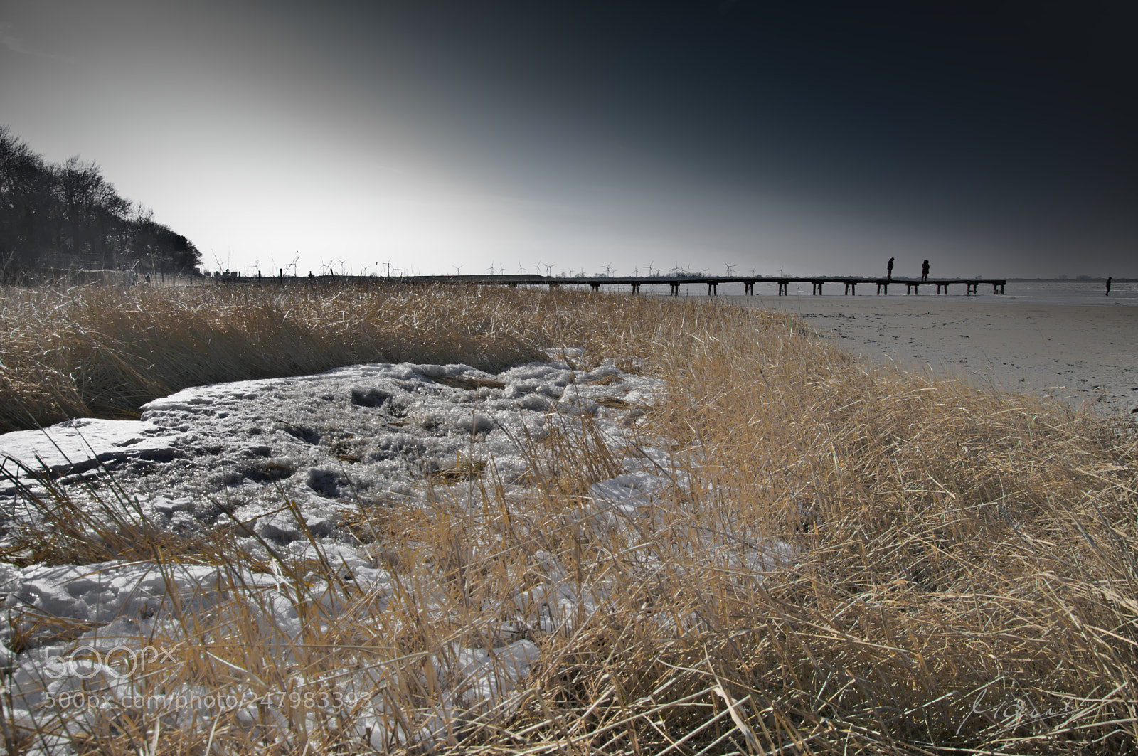 Nikon D90 sample photo. A winter impression: beach photography