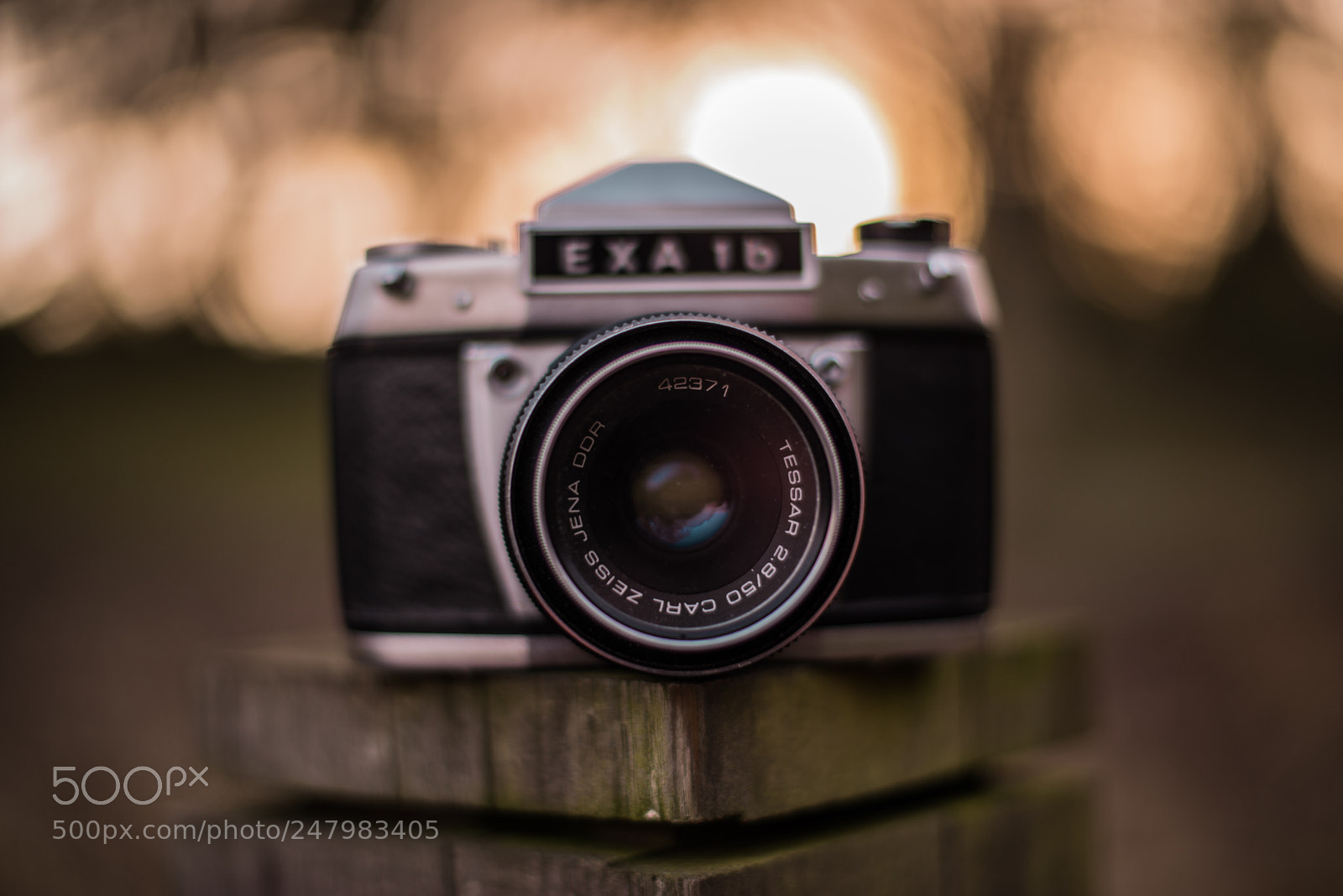 Nikon D800 sample photo. What my memories used photography