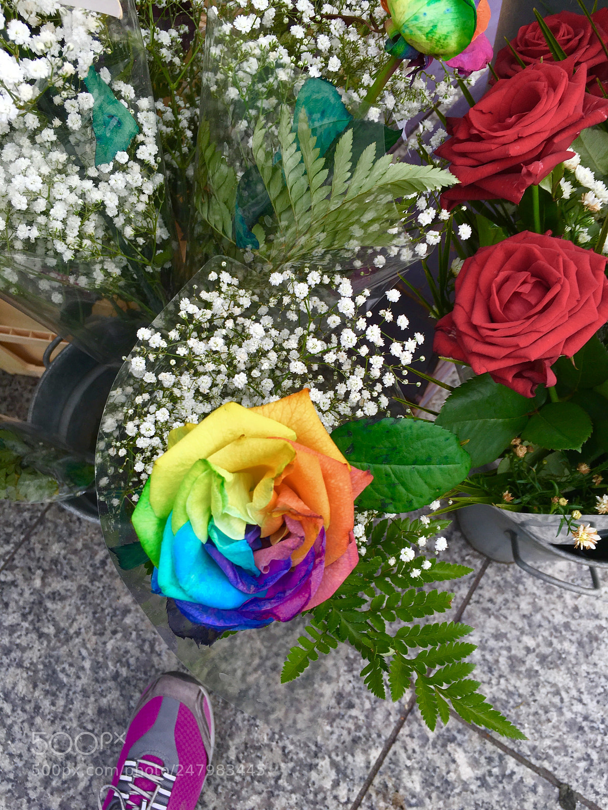 Apple iPhone 6s sample photo. Img photography