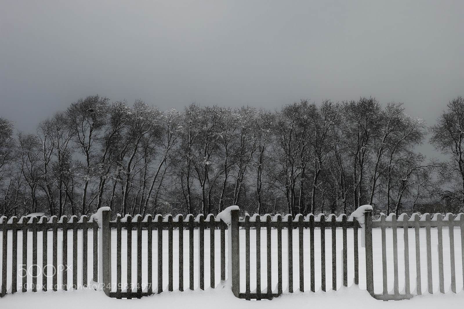 Sigma DP3 Merrill sample photo. Pattern and sequences photography
