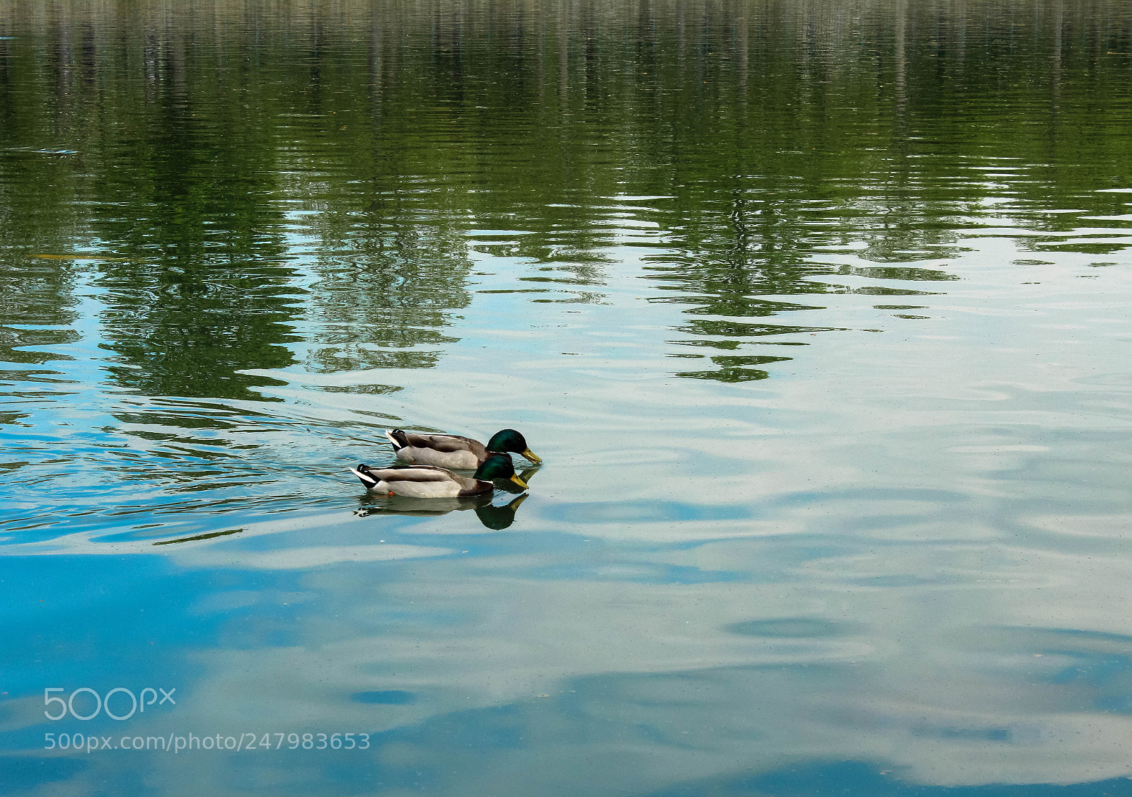 Canon EOS 1200D (EOS Rebel T5 / EOS Kiss X70 / EOS Hi) sample photo. Lake at the palace photography