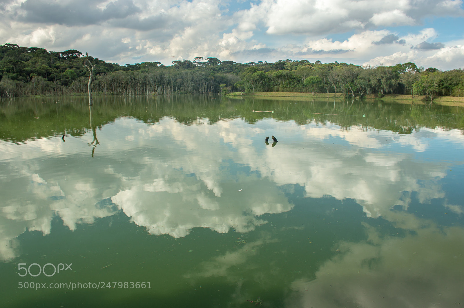 Nikon D3200 sample photo. Reflection photography
