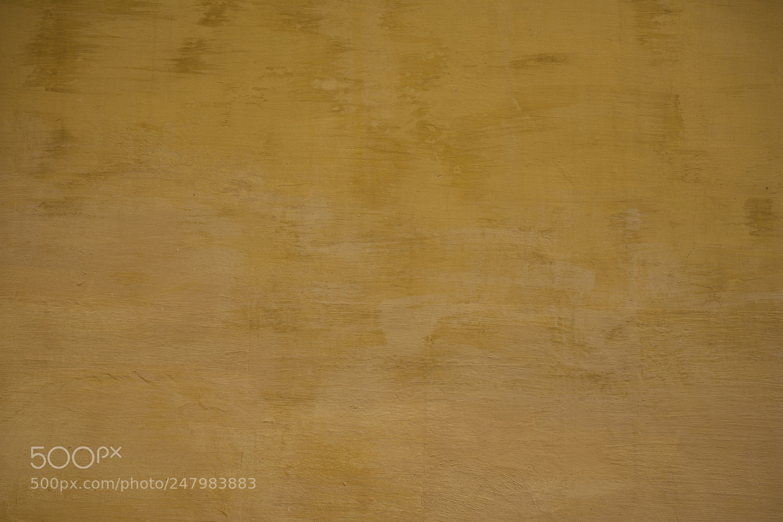 Nikon D7200 sample photo. The wall photography