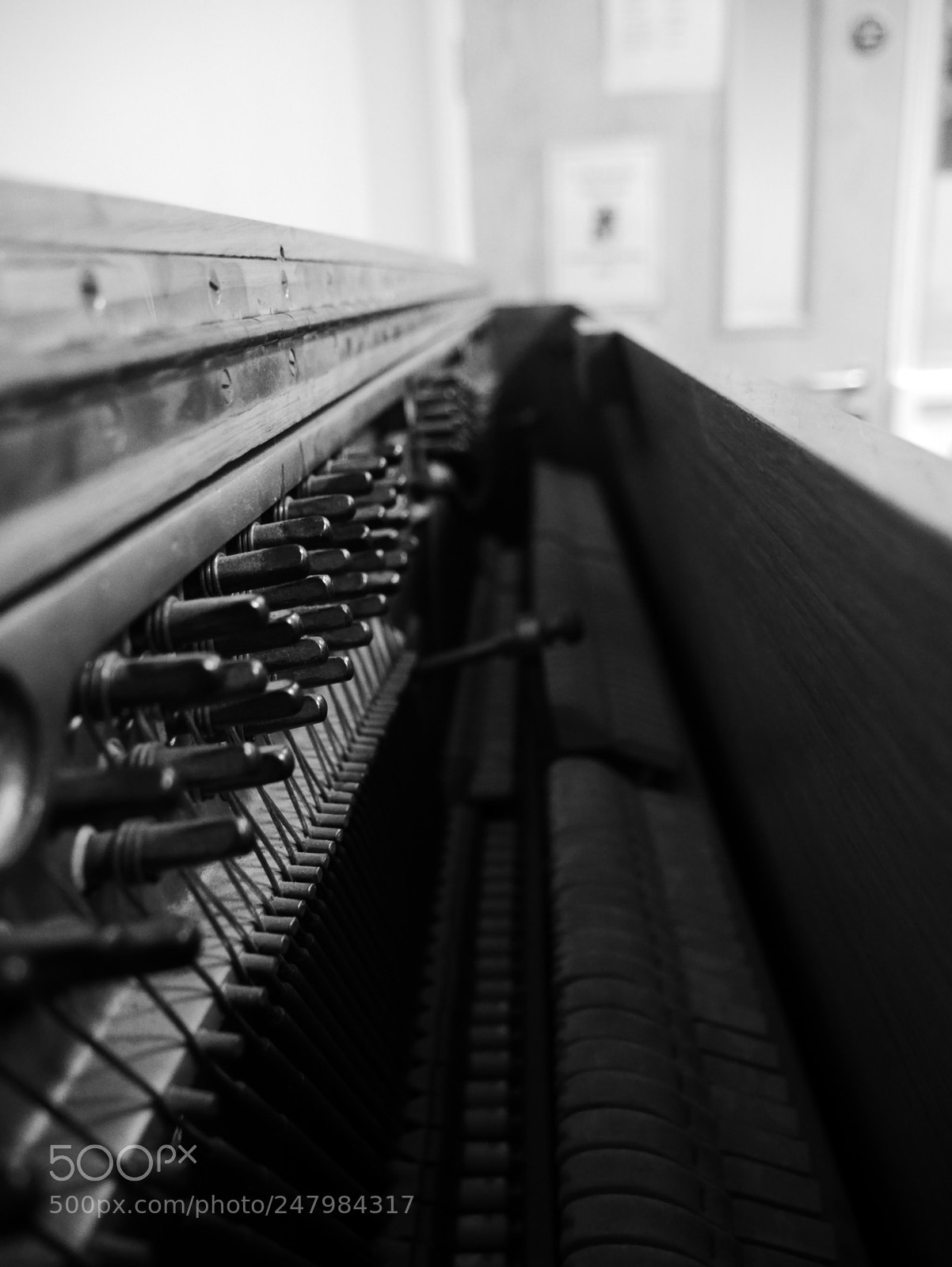 Panasonic Lumix DMC-GX7 sample photo. Untitled photography