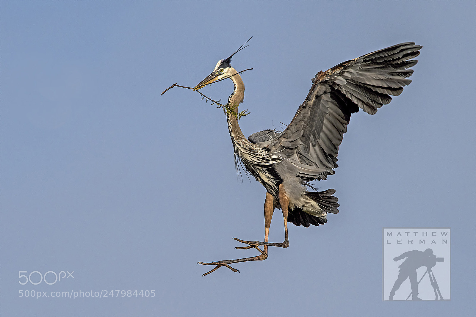 Nikon D810 sample photo. Returning 1644 photography