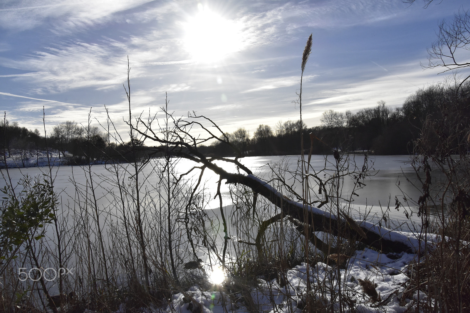 Nikon D7200 sample photo. Fin de journée photography