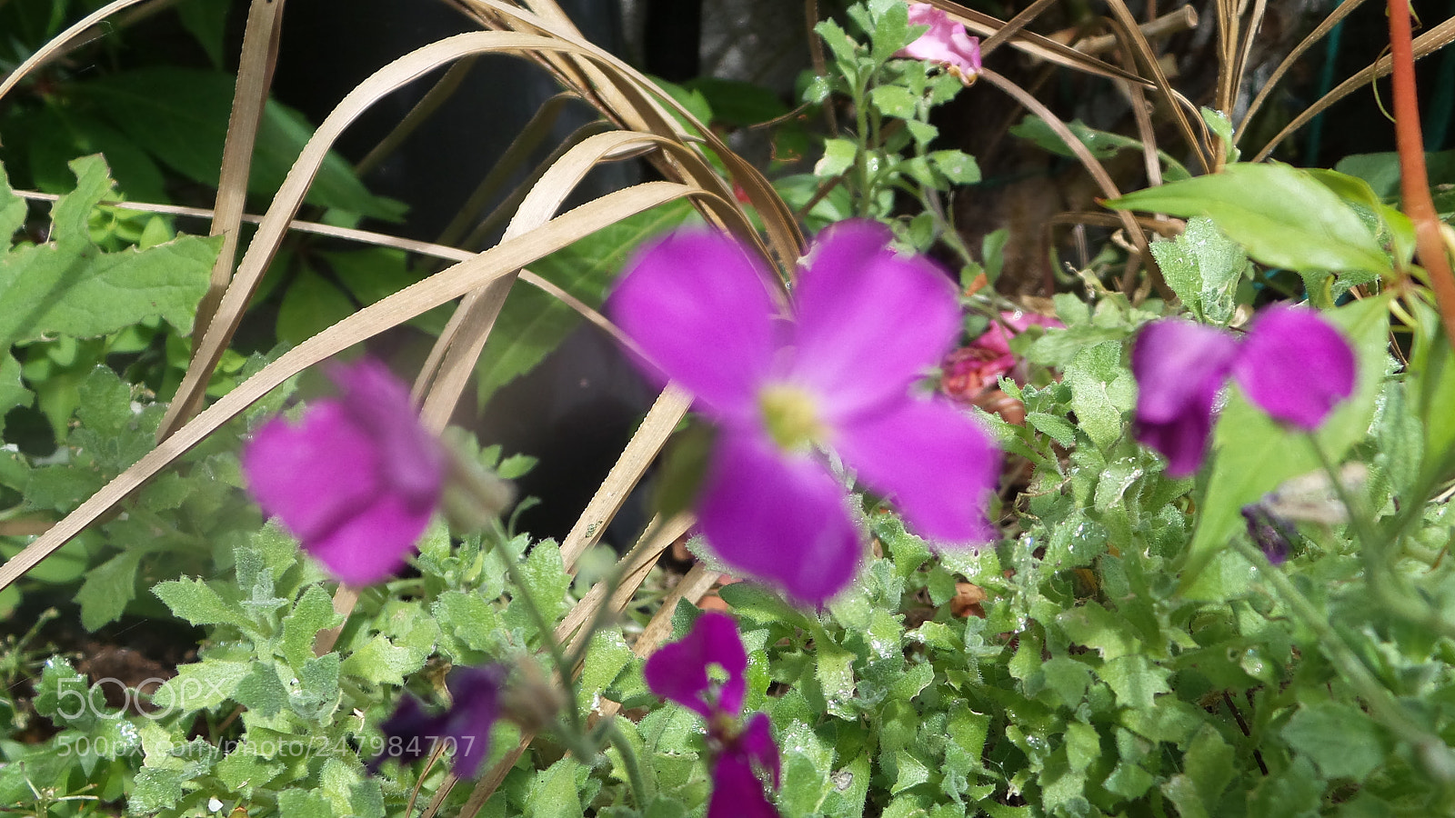 Samsung Galaxy Camera 2 sample photo. 20160707_134740.jpg photography