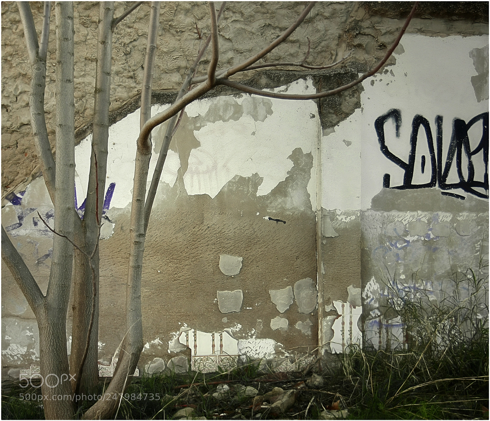 Canon EOS 1000D (EOS Digital Rebel XS / EOS Kiss F) sample photo. Abstract # 1 photography