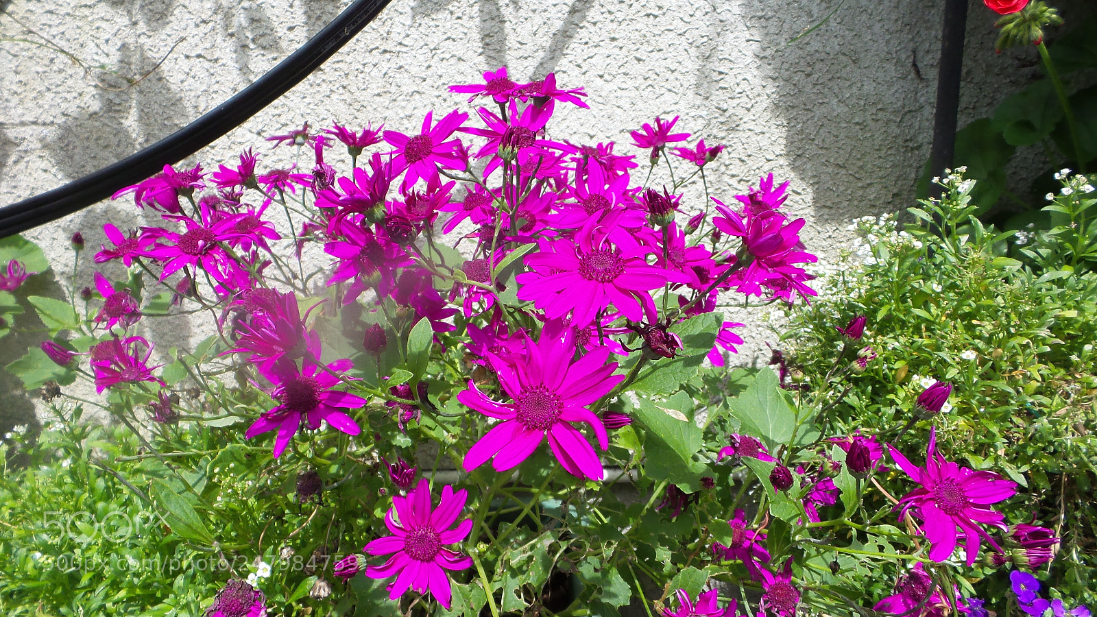 Samsung Galaxy Camera 2 sample photo. 20160707_134351.jpg photography