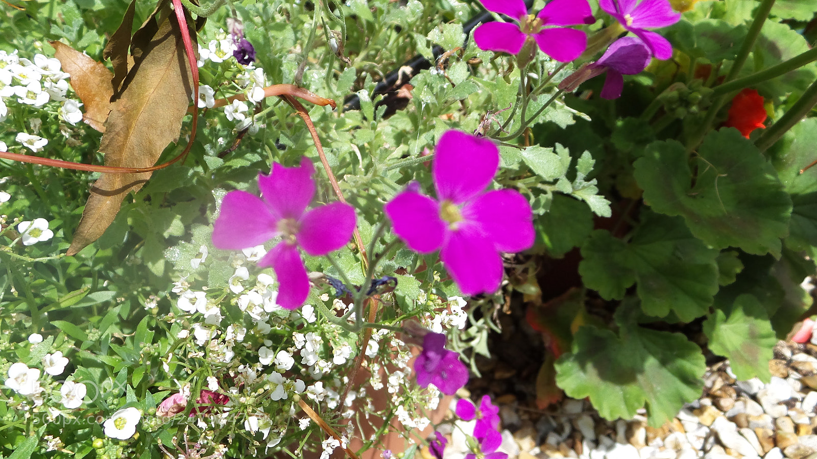 Samsung Galaxy Camera 2 sample photo. 20160707_134813.jpg photography