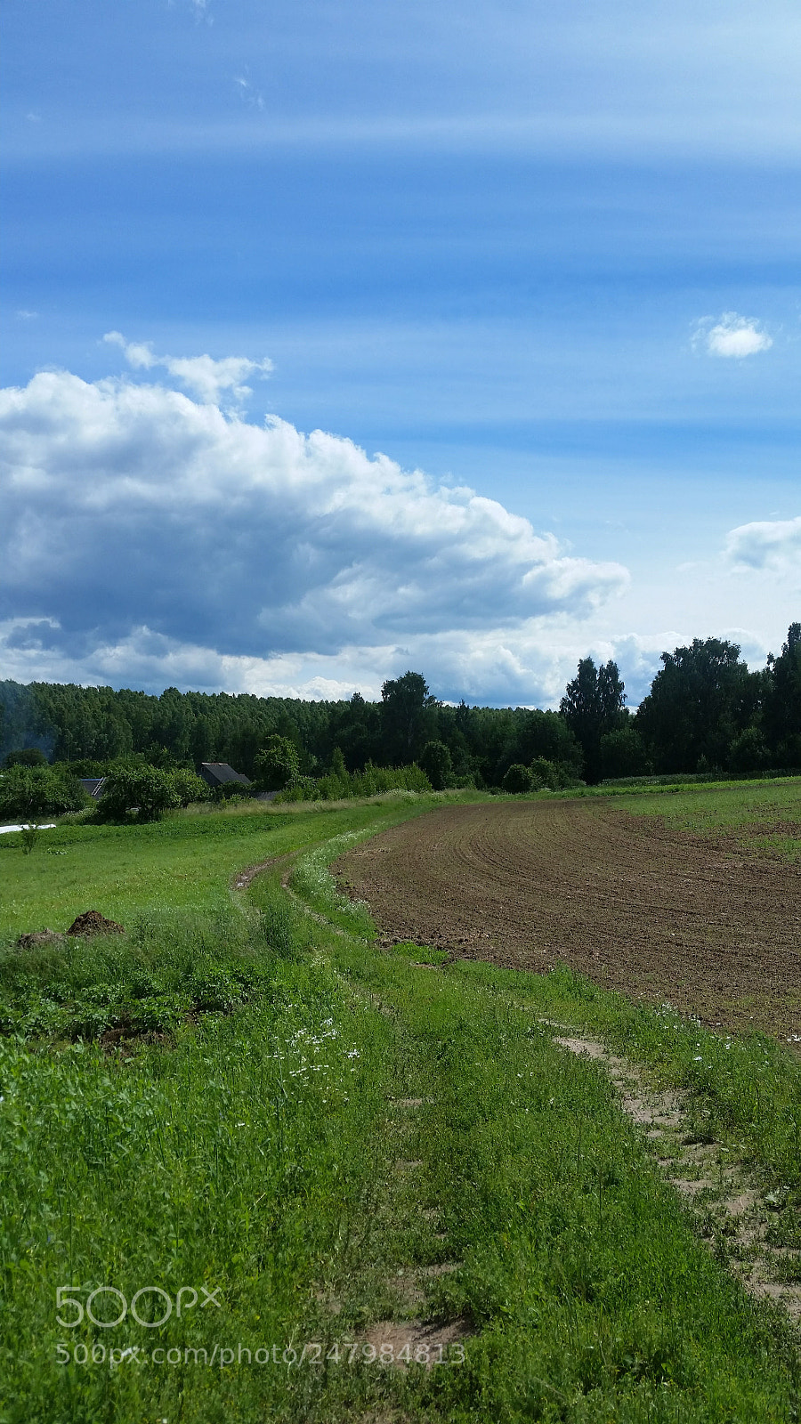 Samsung Galaxy Note5 sample photo. Дача весной photography