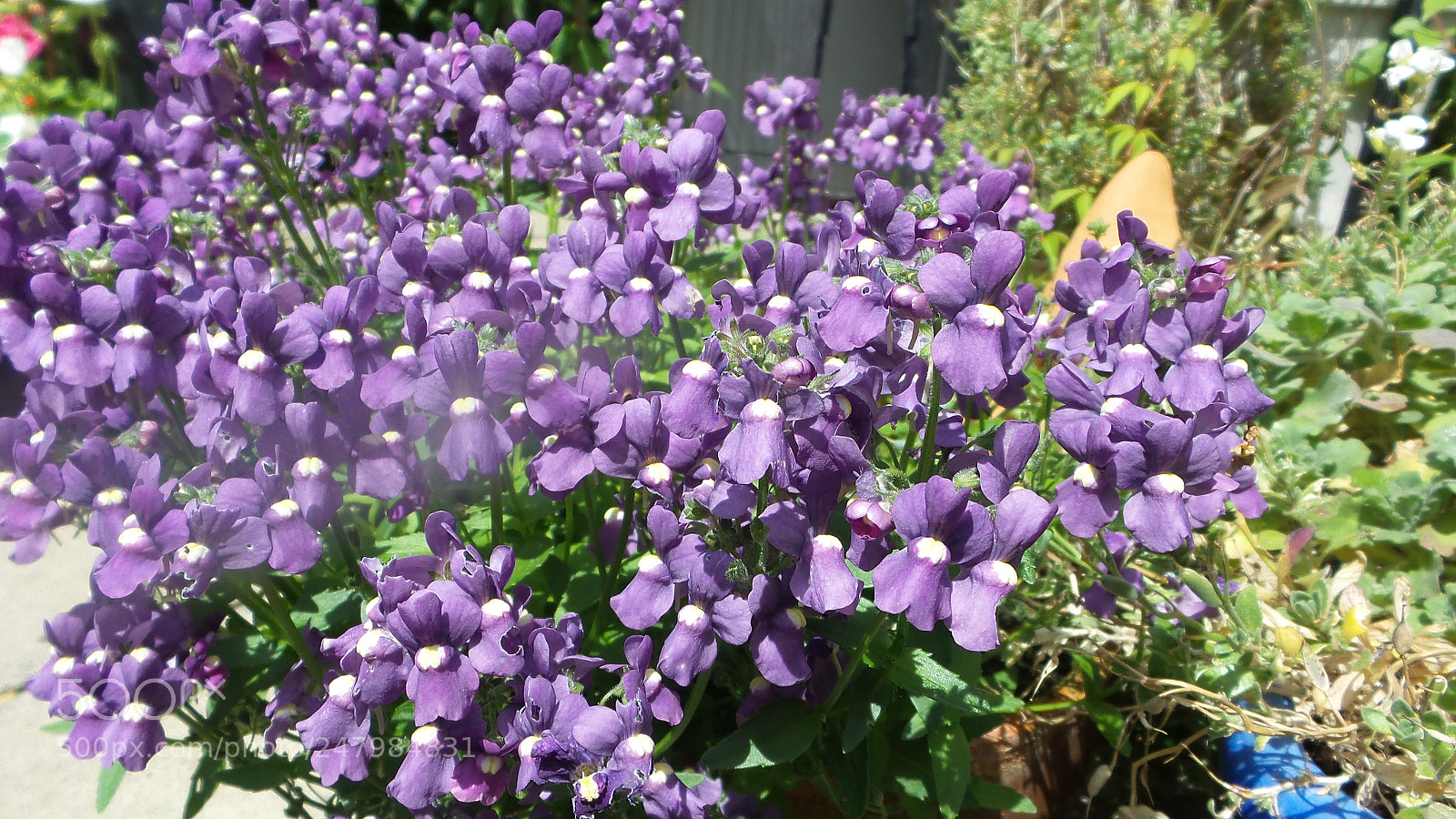 Samsung Galaxy Camera 2 sample photo. 20160707_134952.jpg photography