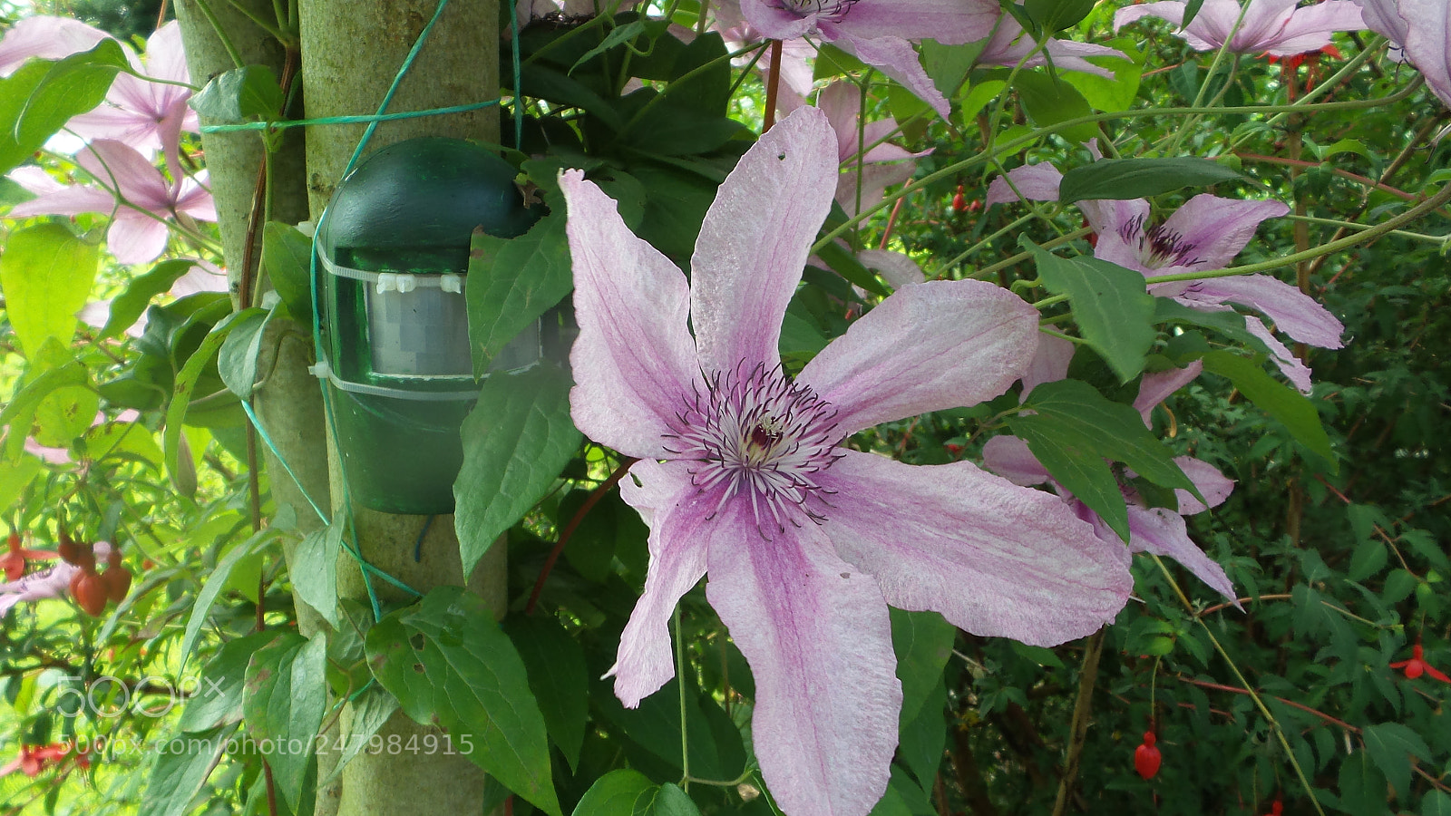 Samsung Galaxy Camera 2 sample photo. 20160707_134557.jpg photography