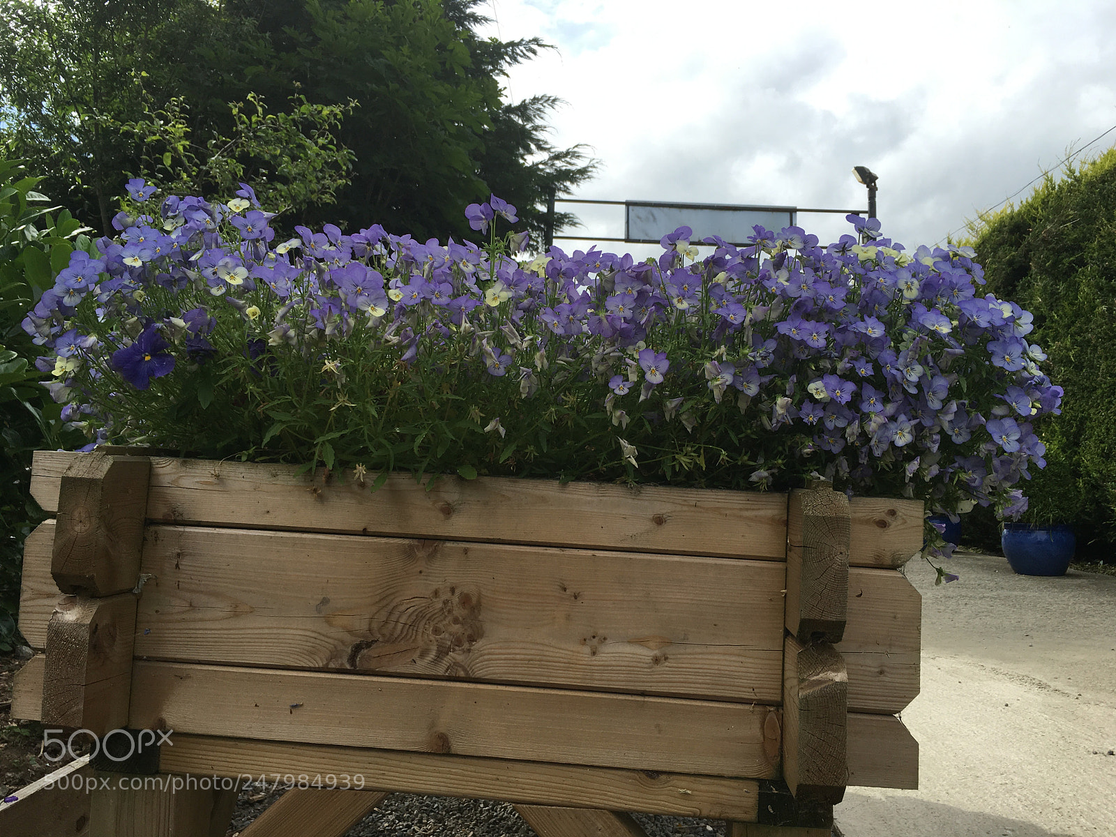 Apple iPhone 6s sample photo. Img photography