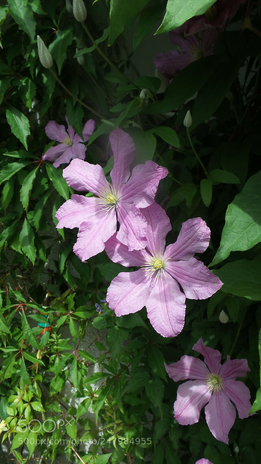 Samsung Galaxy Camera 2 sample photo. 20160707_134625.jpg photography