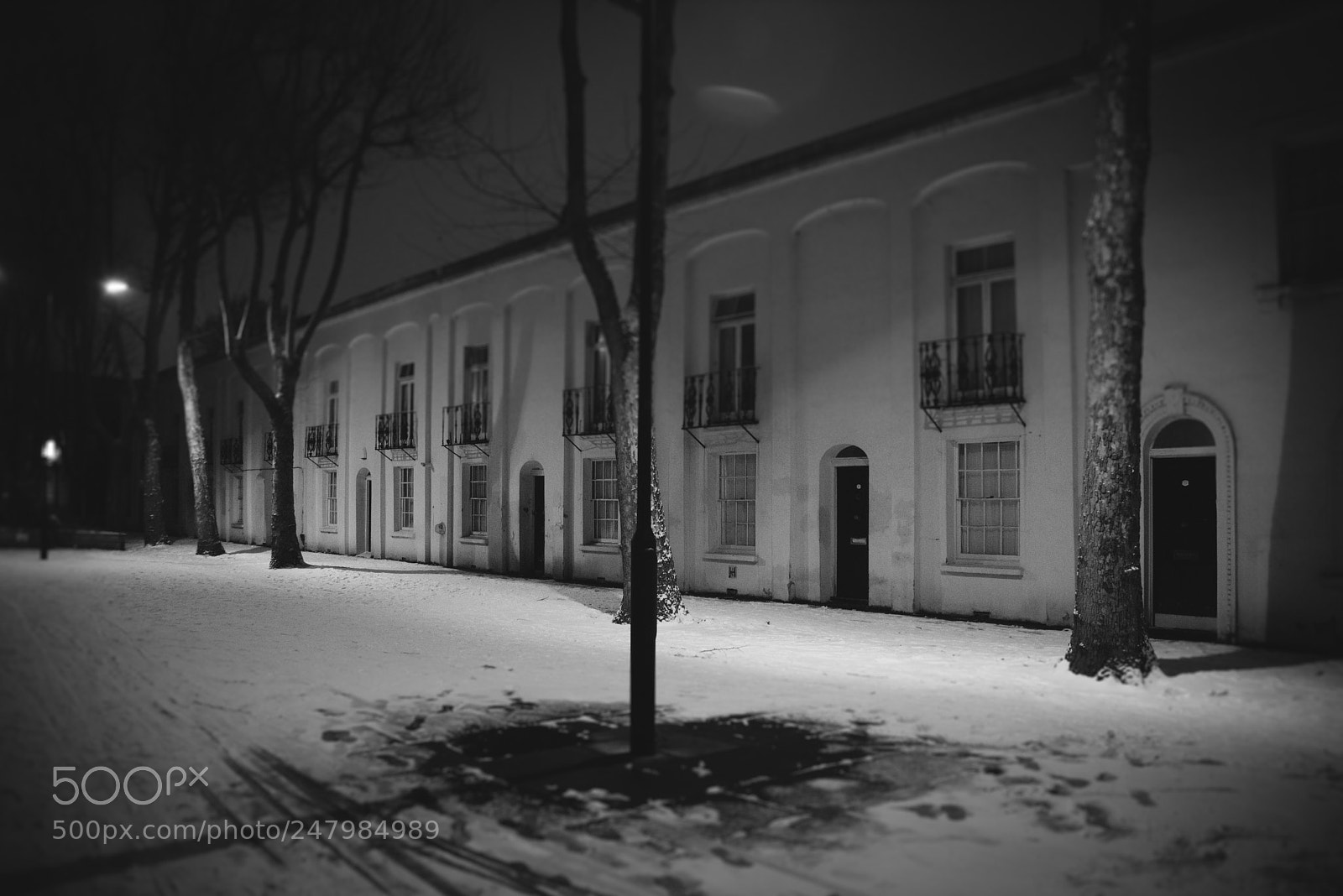 Nikon D610 sample photo. Snow 2018-8 photography