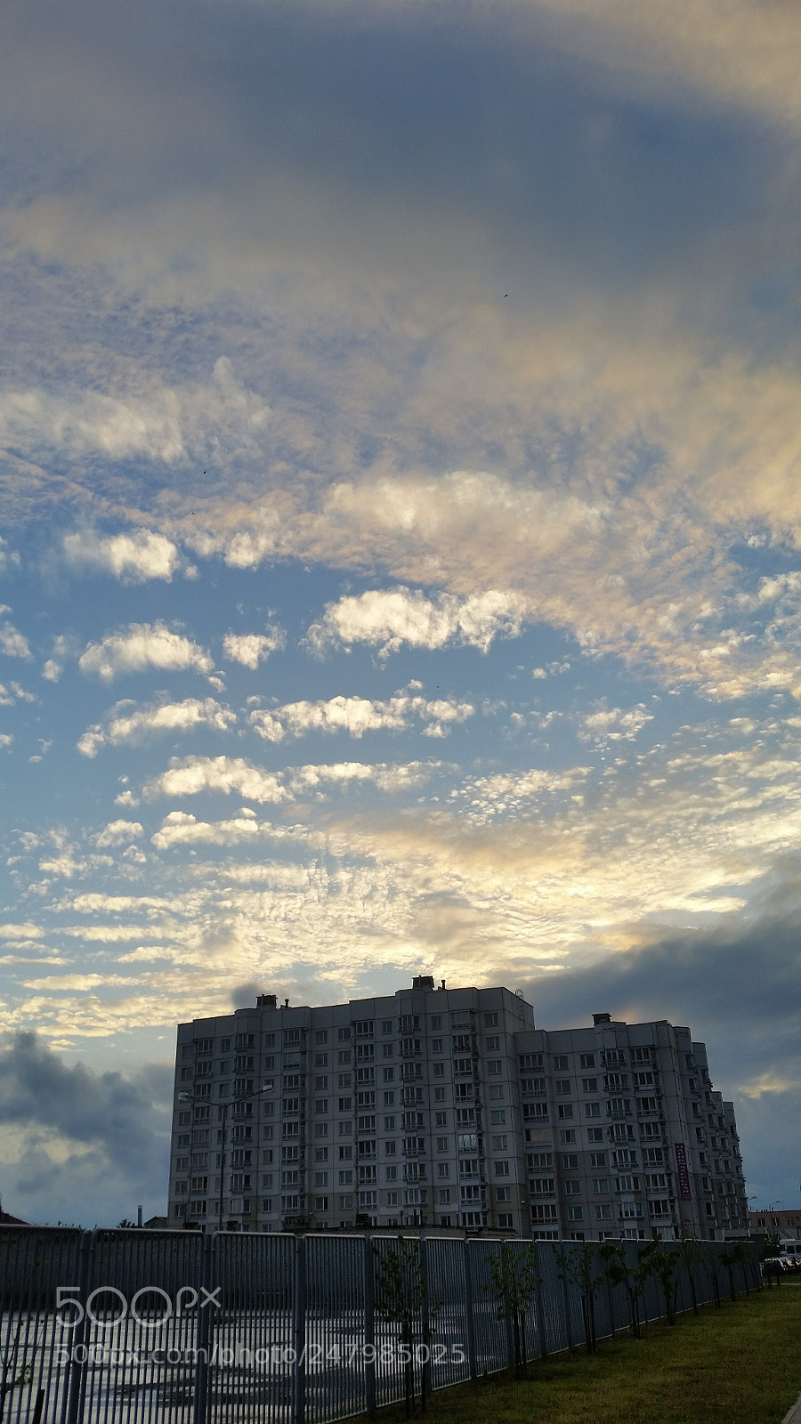 Samsung Galaxy Note5 sample photo. Untitled photography