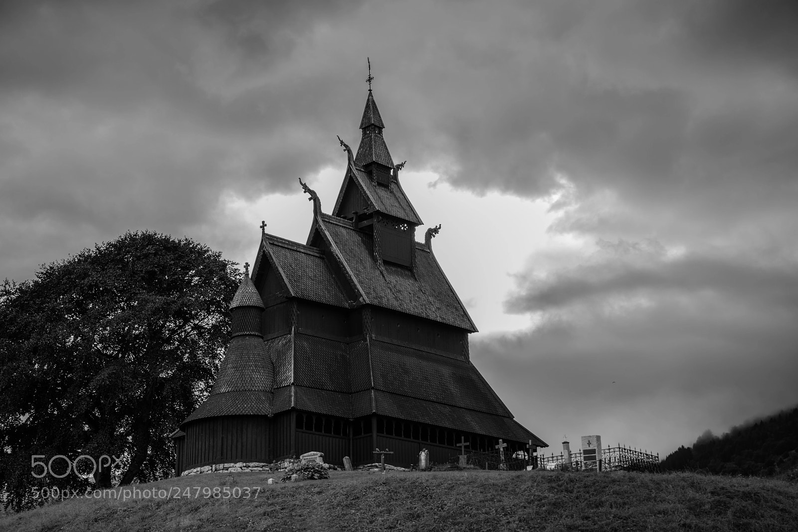 Nikon D610 sample photo. Untitled photography