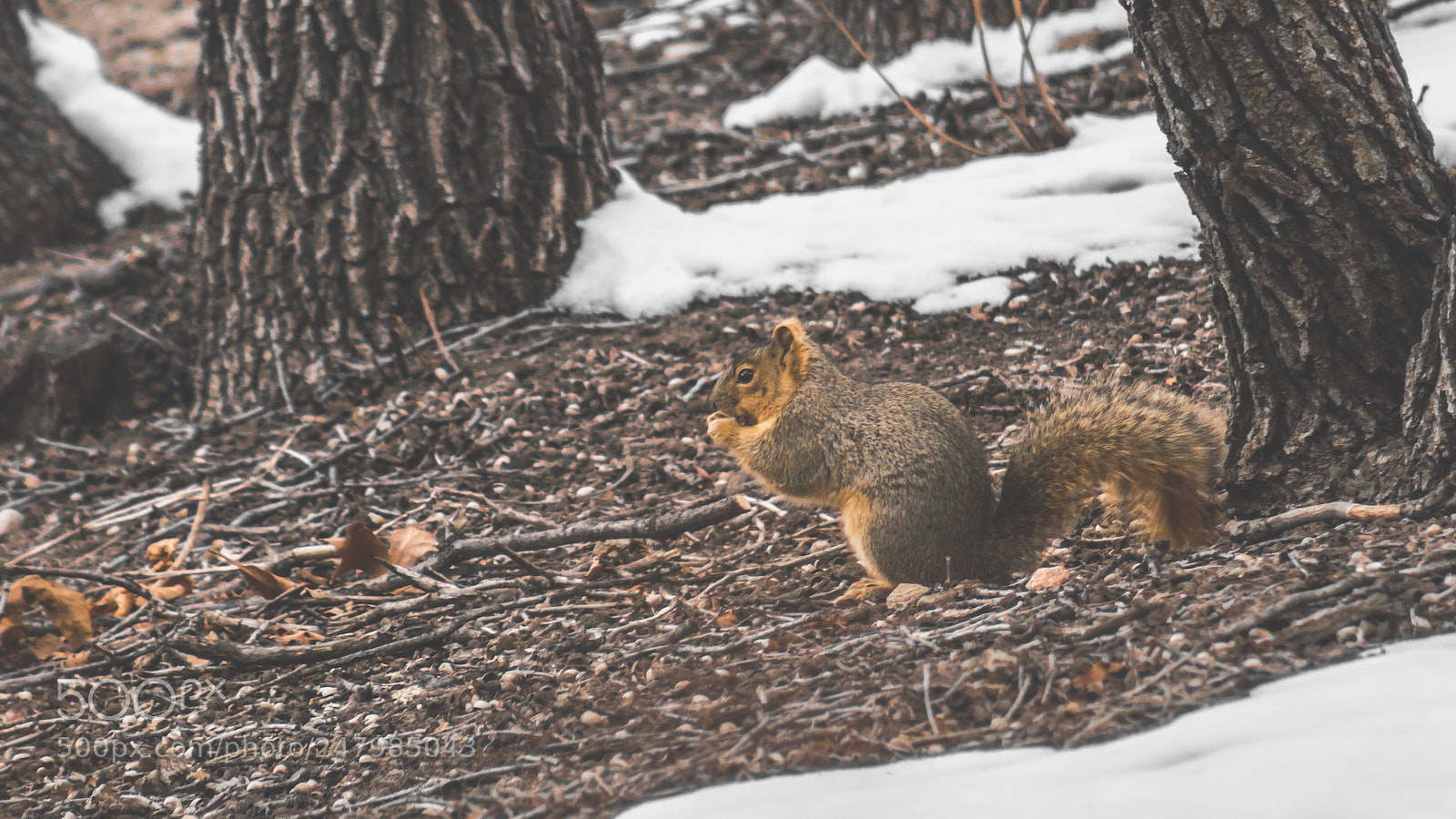 Sony a6300 sample photo. Snack time photography