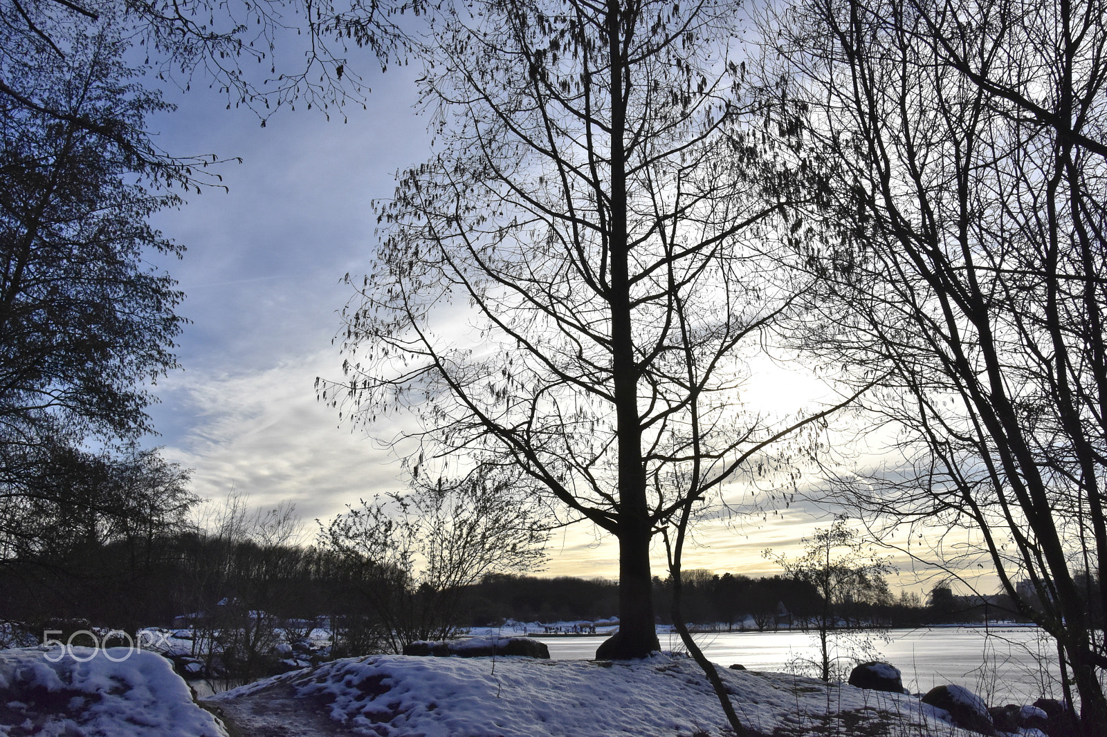 Nikon D7200 sample photo. Fin de journée photography