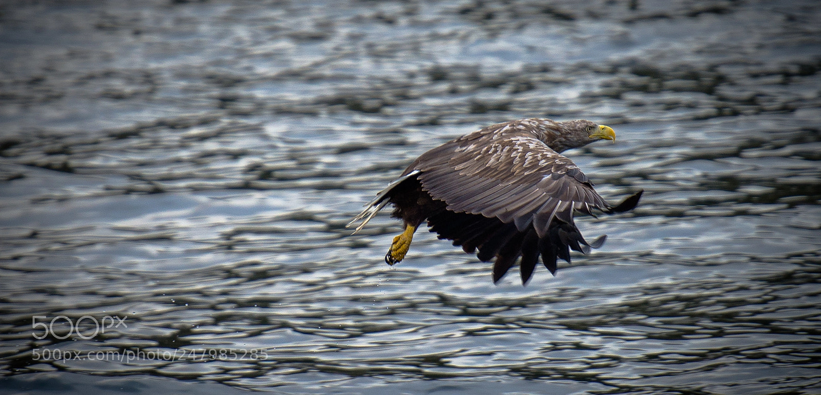 Nikon D610 sample photo. Untitled photography