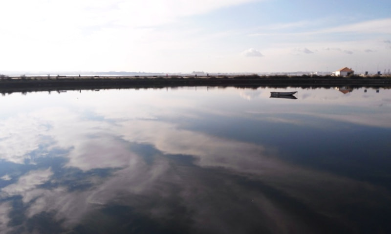 HUAWEI G7-L01 sample photo. Mirror, mirror... photography