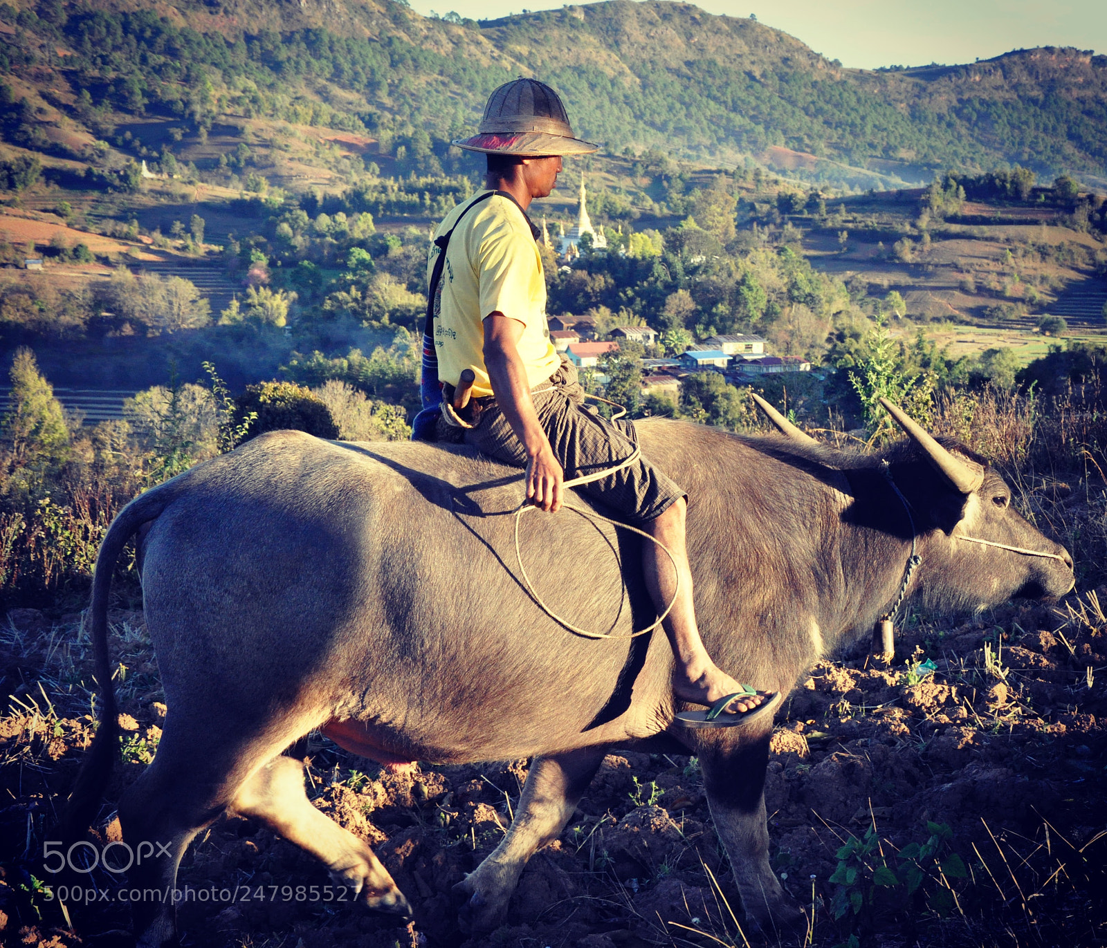 Nikon D90 sample photo. Shan state,myanmar photography